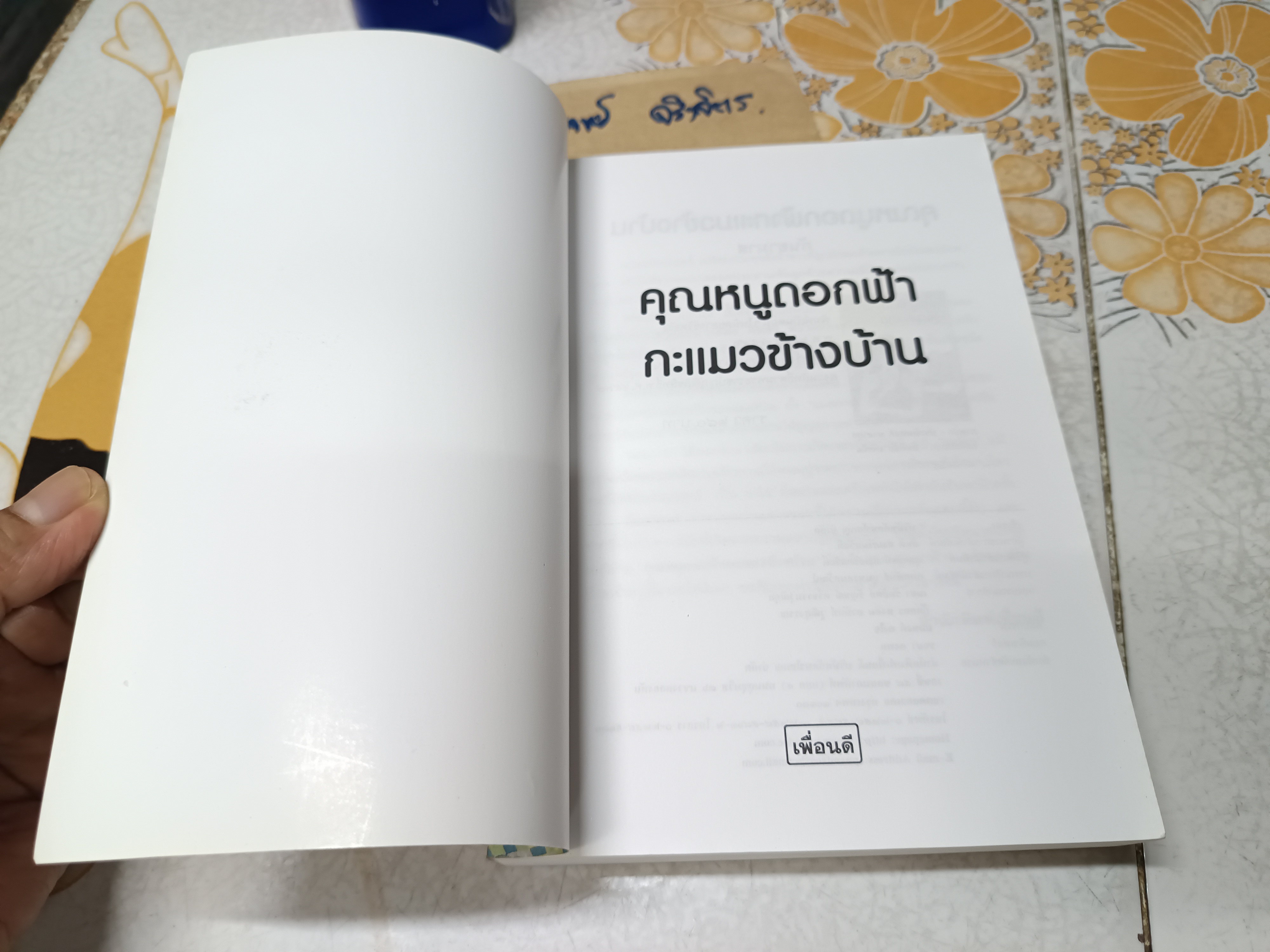 คุณหนูดอกฟ้ากะแมวข้างบ้าน (เล่มเดียวจบ) - กัญญามาศ พิมพ์ครั้งแรกพ.ศ 2547 สำนักพิมพ์เพื่อนดี