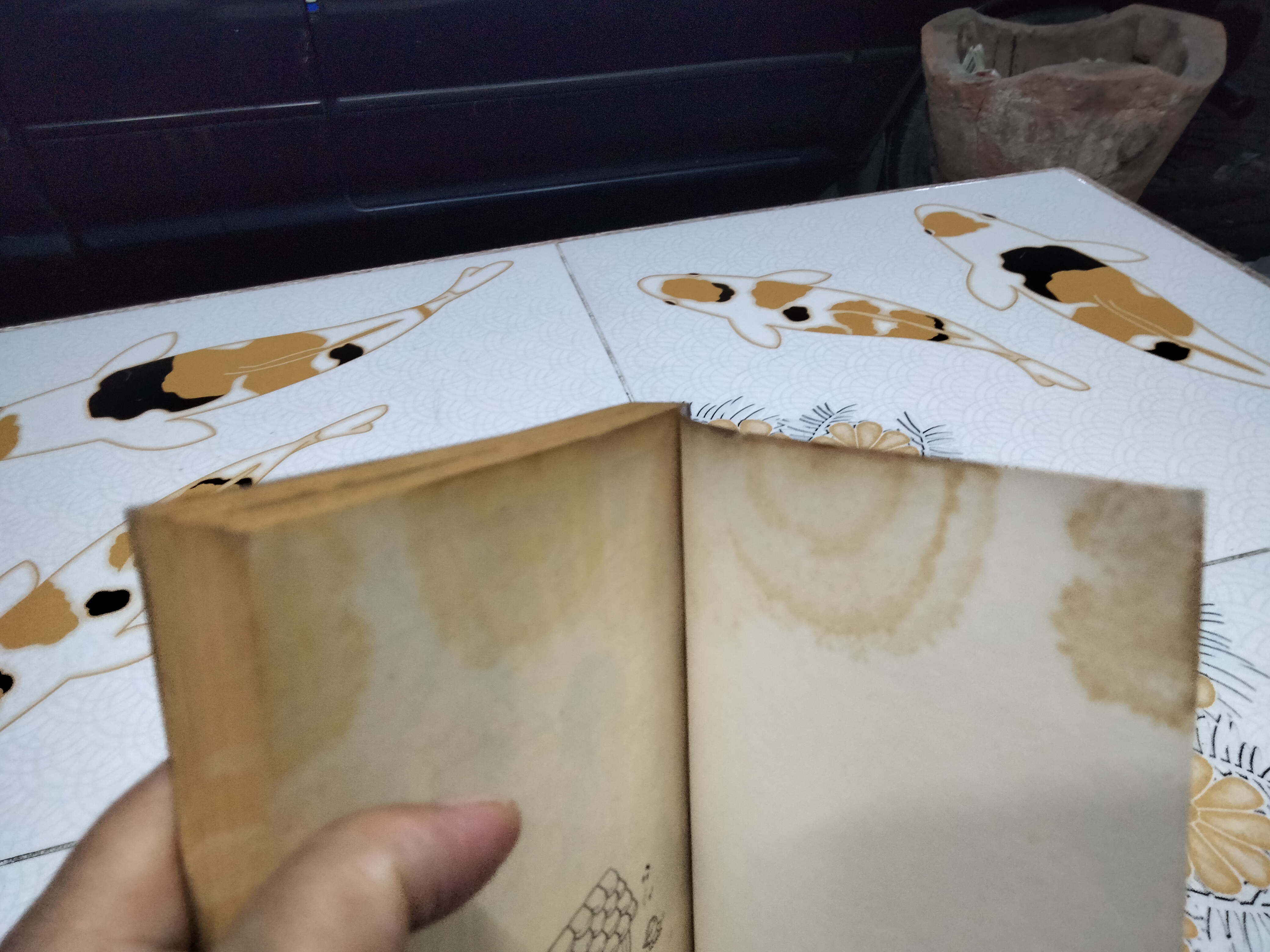 ราตรีหรรษา อาราเบี่ยนไนท์ (เล่มเดียวจบ) ลายเส้น ของ อิงาราชิ ยูมิโกะ มีเรื่องสั้นอยู่ในเล่มอีก 2 เรื่อง