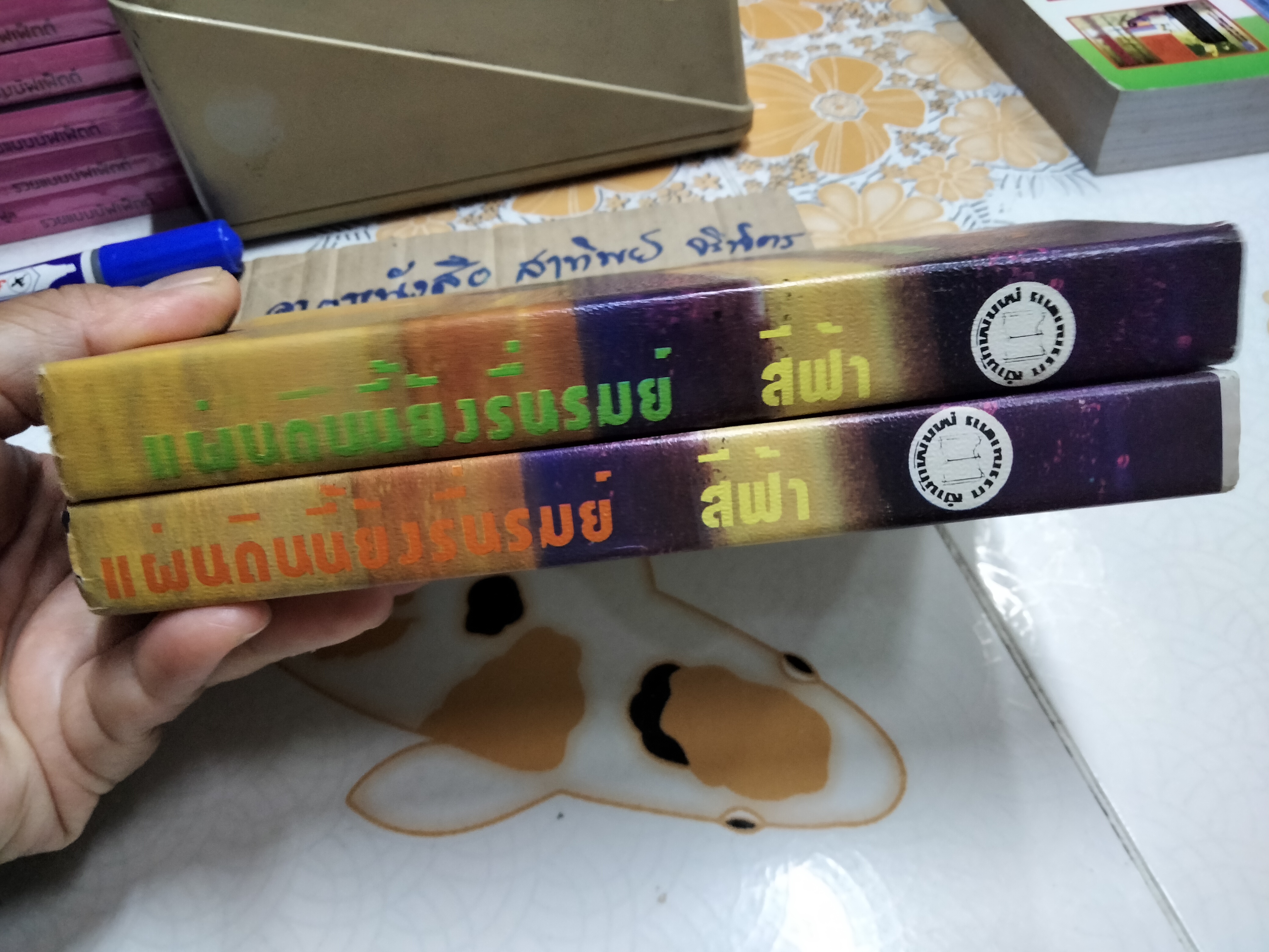 แผ่นดินนี้ยังรื่นรมย์ (2 เล่มจบ) - สีฟ้า **สินค้าหมด**