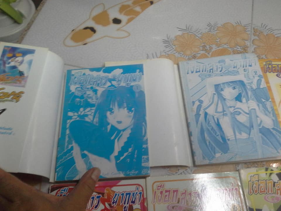 เงือกสาวยากูซ่า (14 เล่มครบชุด) **สินค้าหมด**