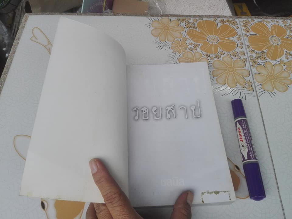 รอยสาป โดย ชลนิล