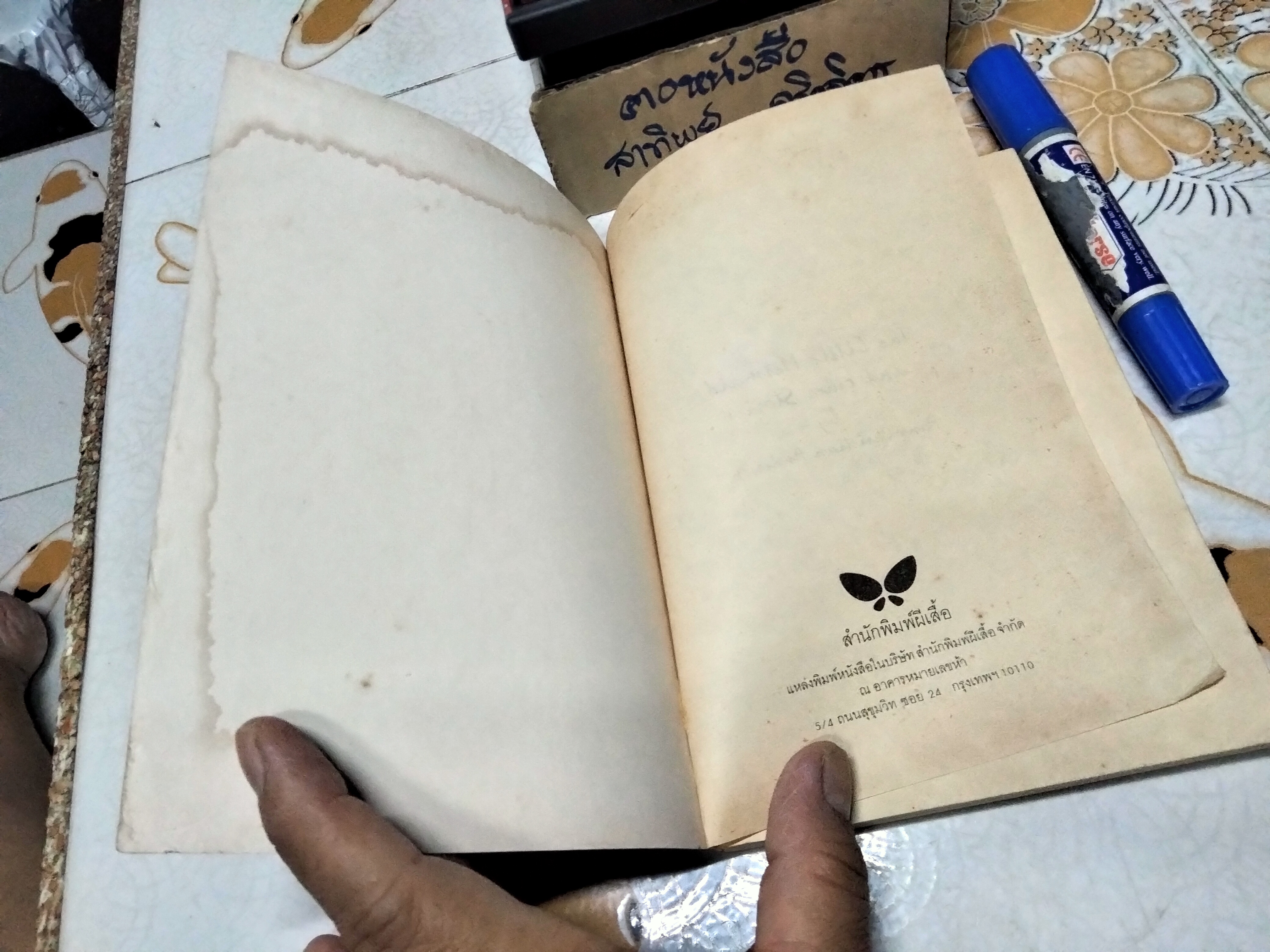 เงือกน้อย - ฮันส์ คริสเตียน แอนเดอร์เสน เขียน / ผกาวดี อุตตโมทย์ แปล (ฉบับแก้ไขรวมเล่ม พิมพ์ครั้งแรก 2539)