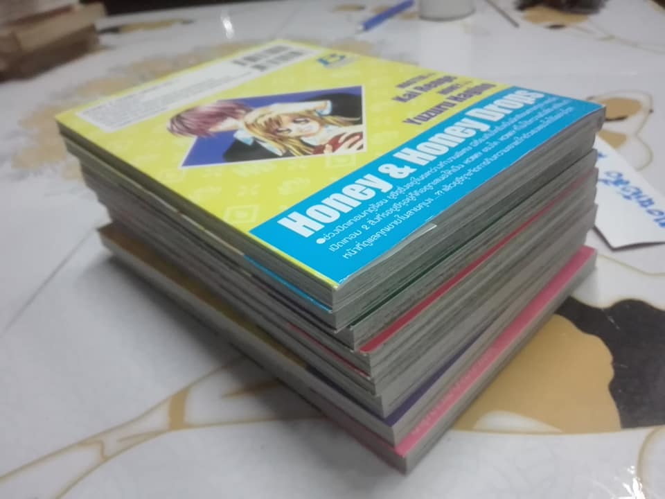 วายร้าย นายตัวแสบ (8 เล่มจบ) ผลงาน MINAMI Kanan