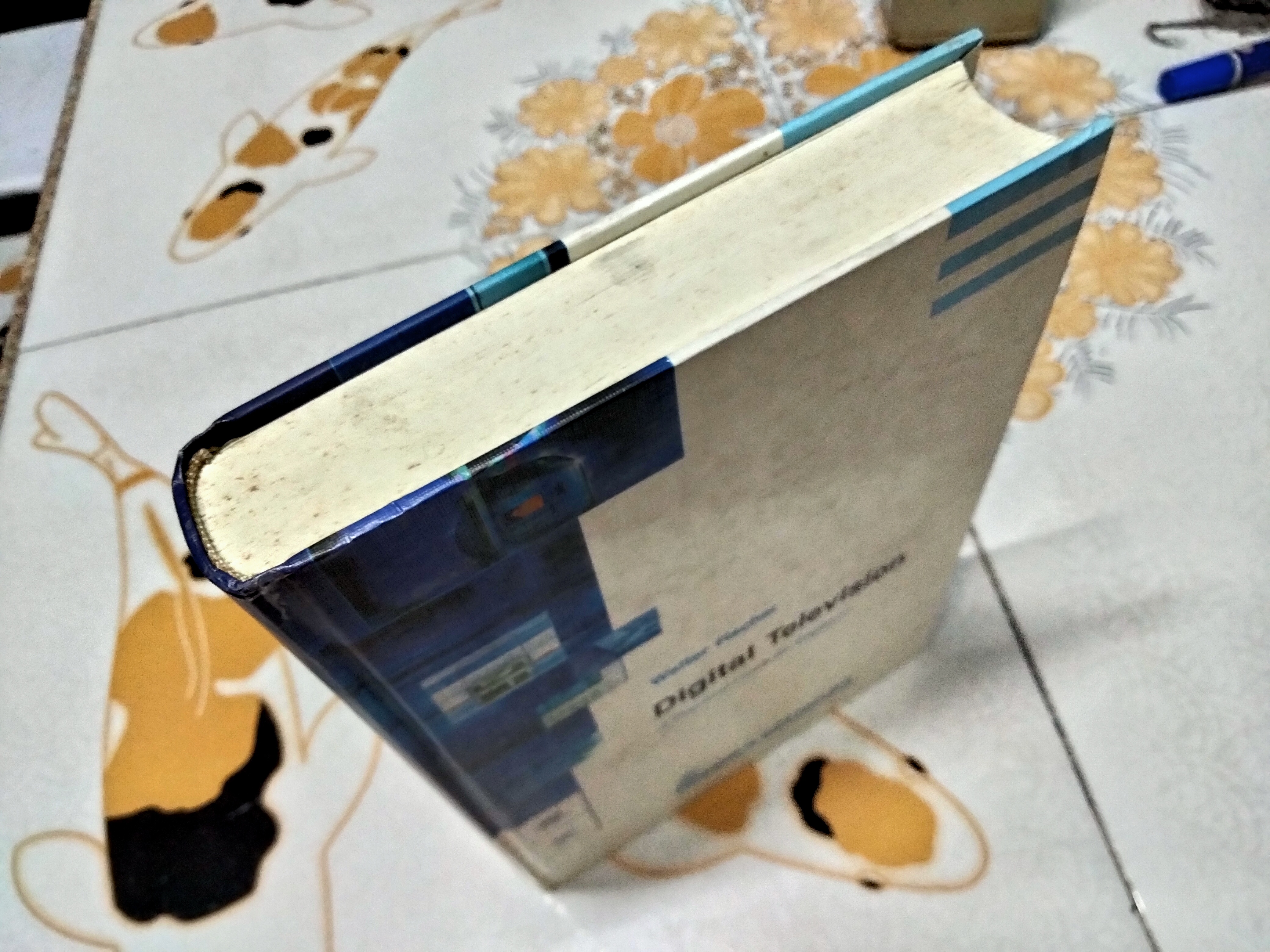 Digital Television - A Practical Guide for Engineer by Walter Fischer