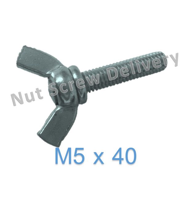 สกรูหางปลามิลขาว M5 x 40