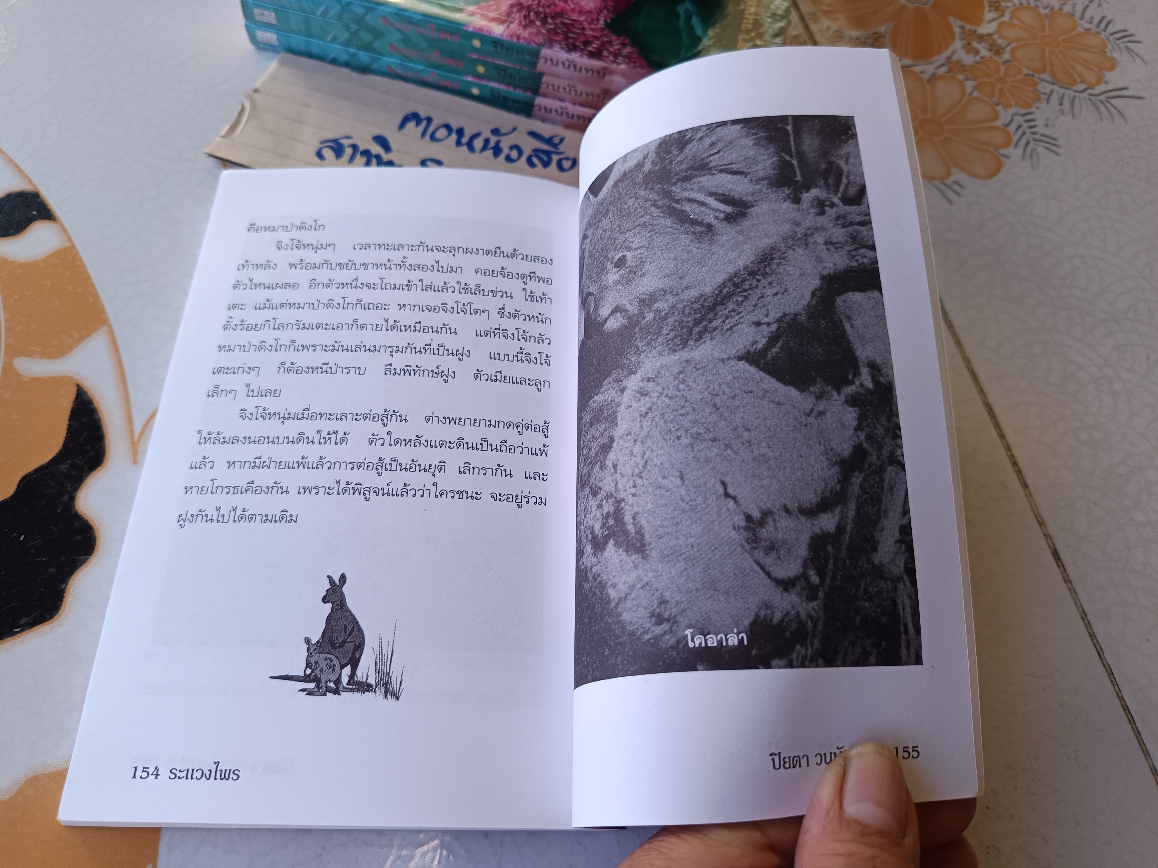 ระแวงไพร (Walkabout) James Vance Marshall เขียน ปิยตา วนนันทน์ แปล - พิมพ์ครั้งที่ 1/2540 สนพ. ต้นอ้อ