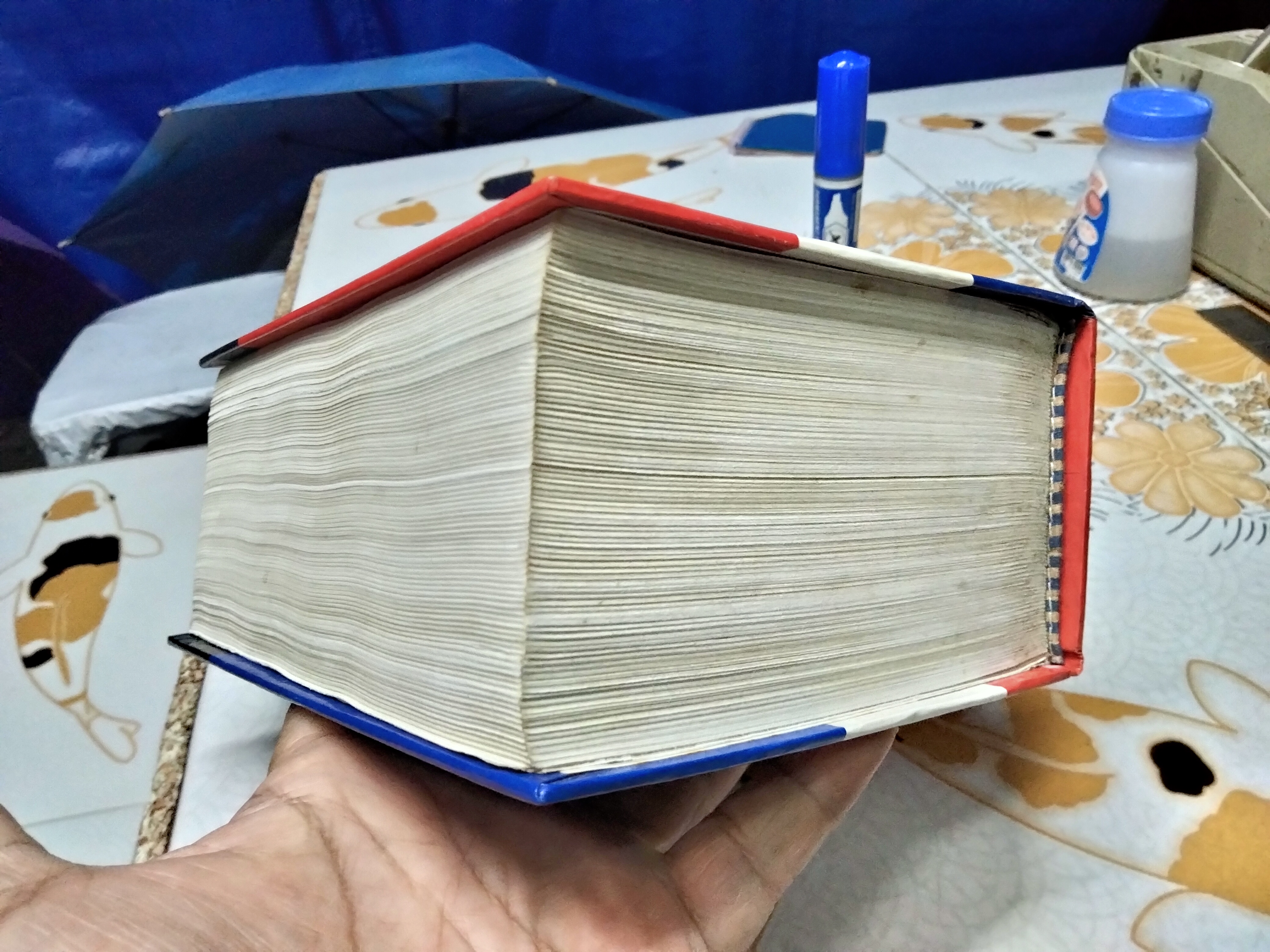 พจนานุกรมดวงกมล ฝรั่งเศส-ไทย ฉบับ Francais Langue Etrangere Dictionnaire Francais-Thailandais/สว่าง วงศ์พัวพันธุ์ ผู้รวบรวม พิมพ์ครั้งที่ 3/2540 **สินค้าหมด**