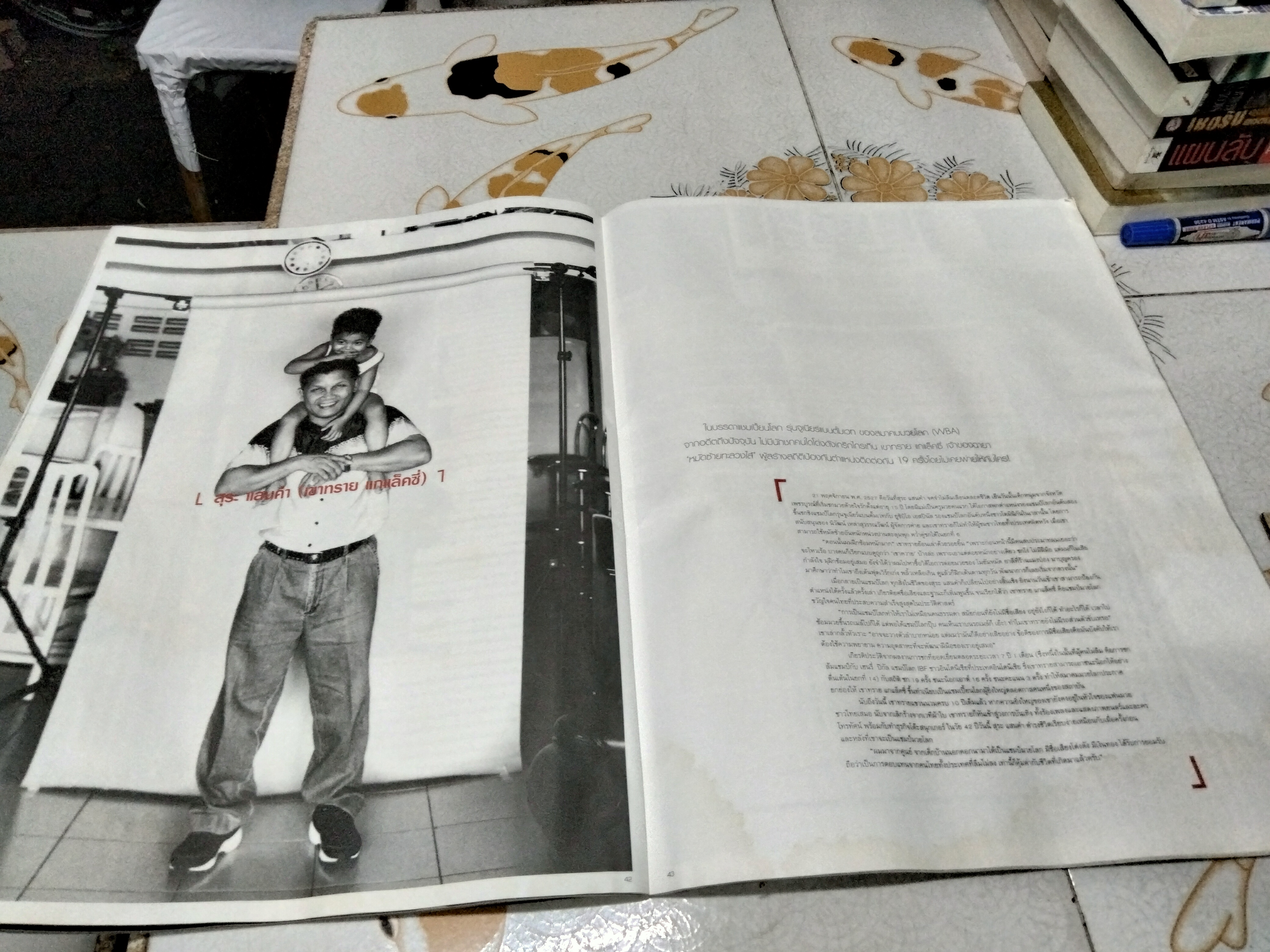 นิตยสาร a day special ฉบับ idols หน้าปก เบิร์ด ธงไชย (ตำหนิ หนังสือโดนน้ำ มีคราบรา)