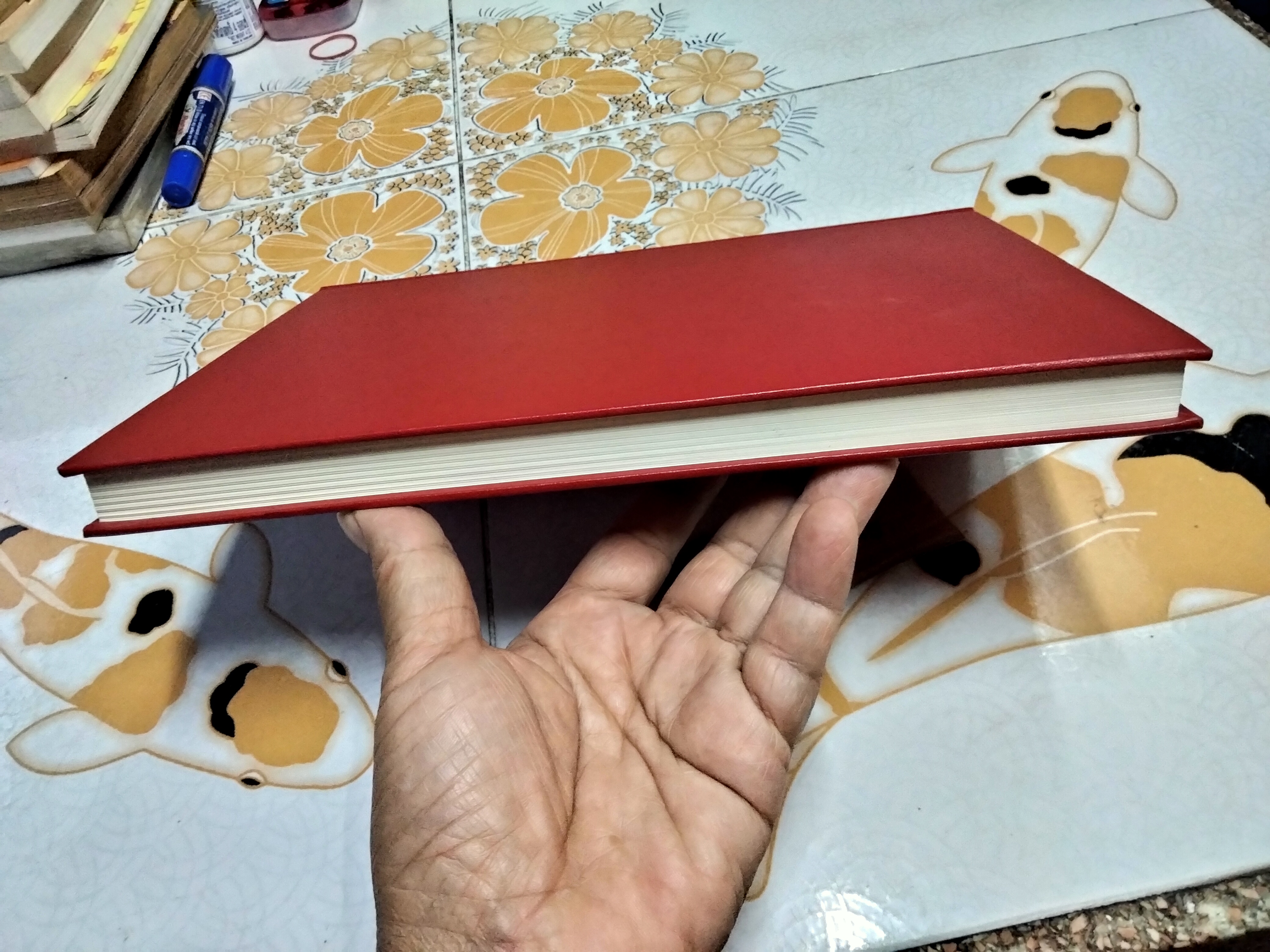 GRAMMATICA LINGUAE THAI ตำราไวยากรณ์ไทย โดย PALLEGOIX (สังฆราชปัลเลอร์กัวซ์)