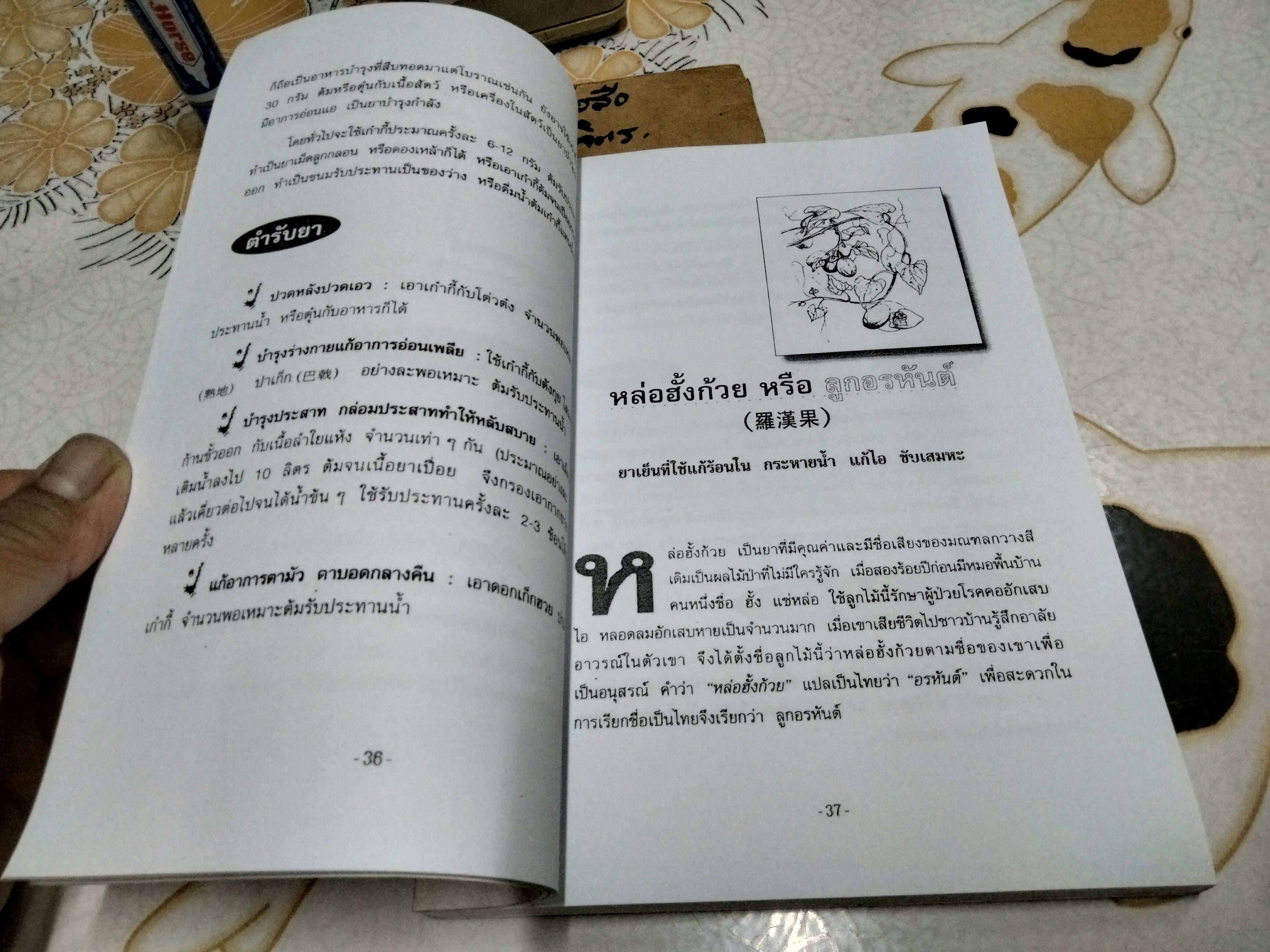 ยาจีนและอาหารบำรุงสุขภาพ เรียบเรียง โดย มิ่งมิตร เนาวรัตน์ (ฉบับถ่ายเอกสาร) **สินค้าหมด**