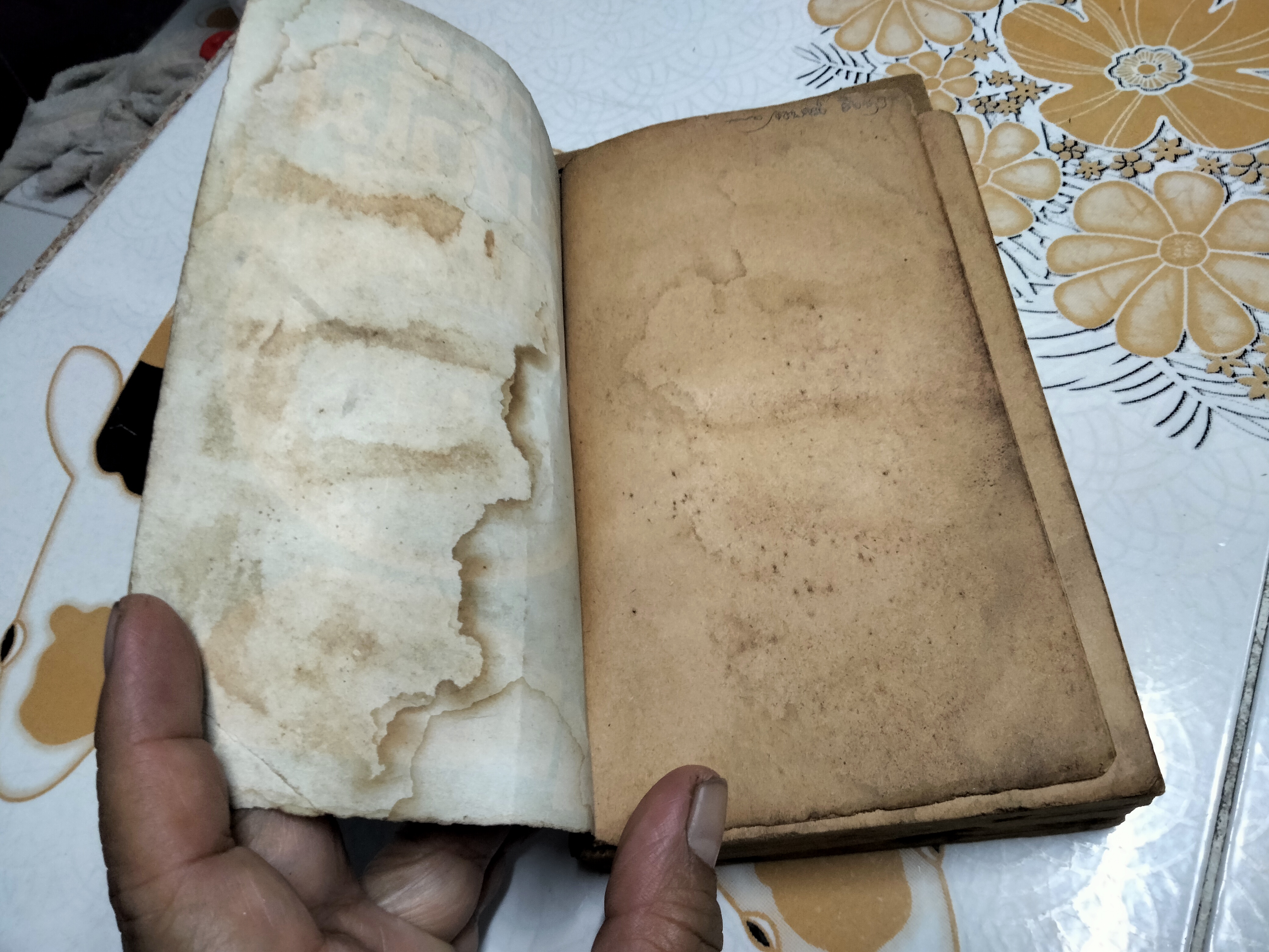 โหราศาสตร์ไทย วิทยาการแห่งความอัปยศ โดย ยอดธง ทับทิวไม้ (สภาพอ่าน) **สินค้าหมด**