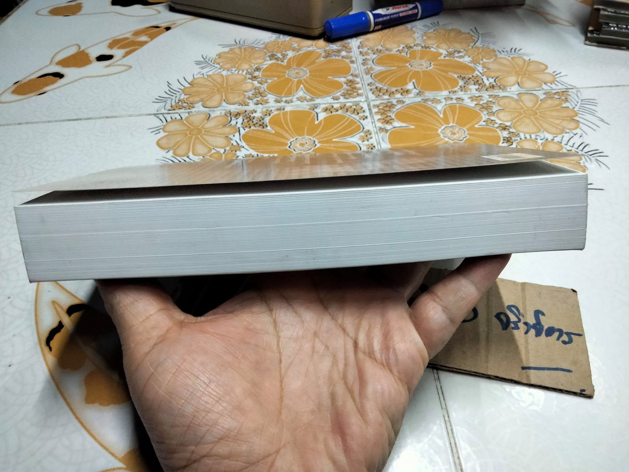 ภูแสนดาว โดย ดวงตะวัน พิมพ์ครั้งที่ 2/2546 สนพ.เพื่อนดี