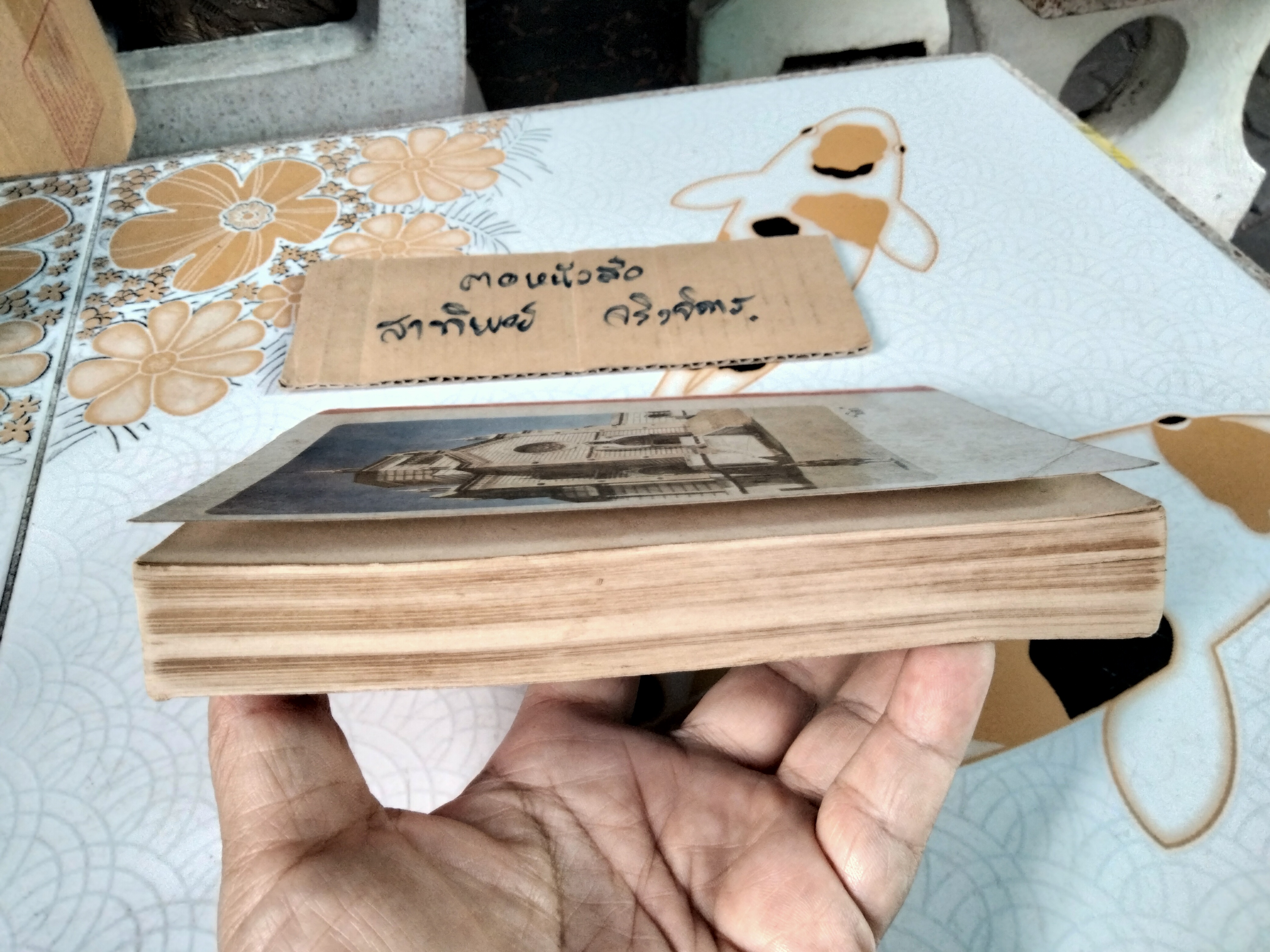 โองการนรก แปลจาก The Omen ของ เดวิด เซลท์เซอร์ - นิดา แปล **สินค้าหมด**