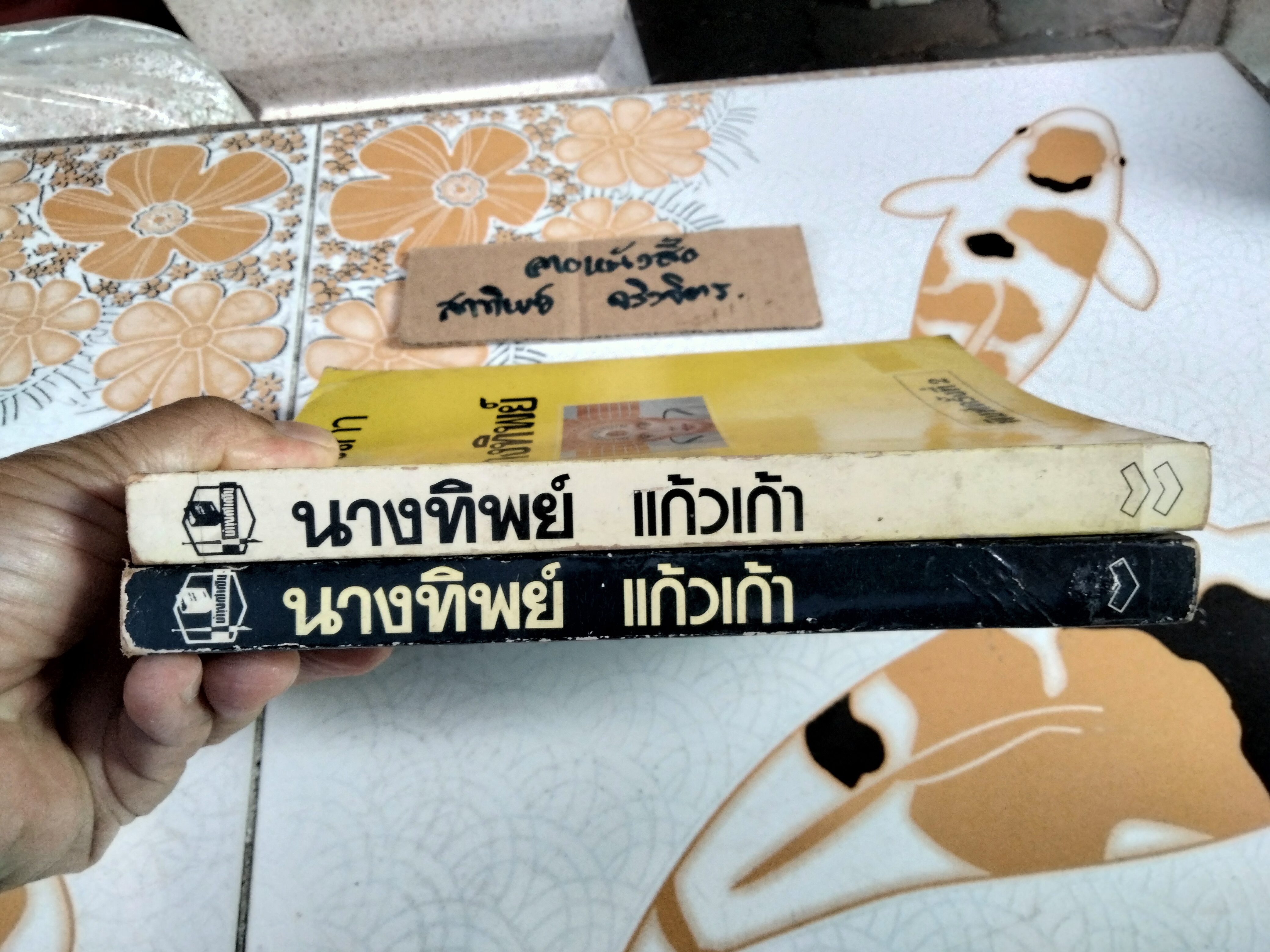 นางทิพย์ (2 เล่มจบ) แก้วเก้า (เช่า+บ้าน) **สินค้าหมด**