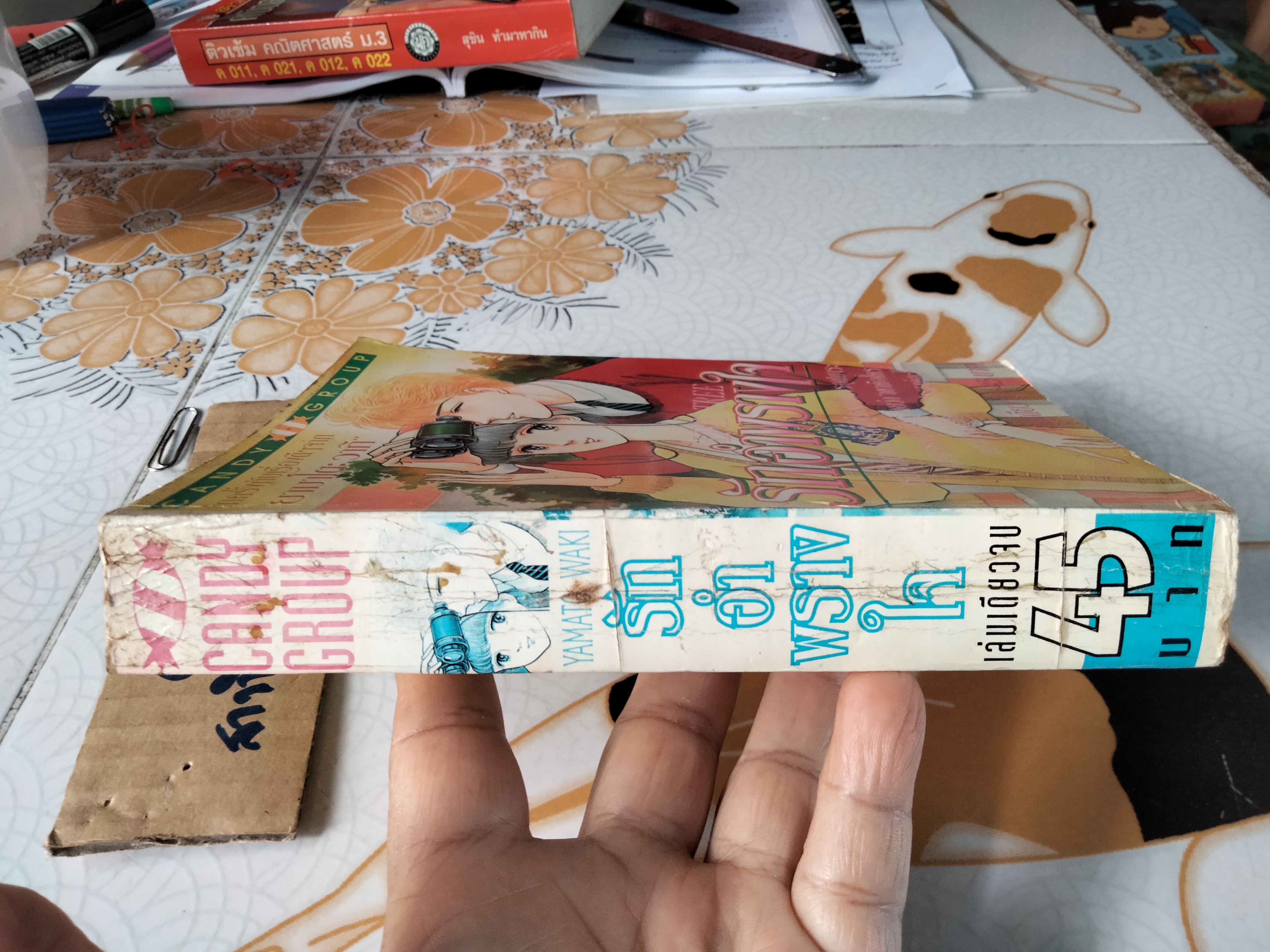 รักอำพรางใจ ( Lime Tree) เล่มเดียวจบ - ยามาโตะ วากิ **สินค้าหมด**