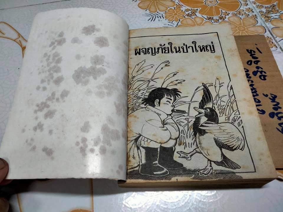 ผจญภัยในป่าใหญ่ (เล่มเดียวจบ)