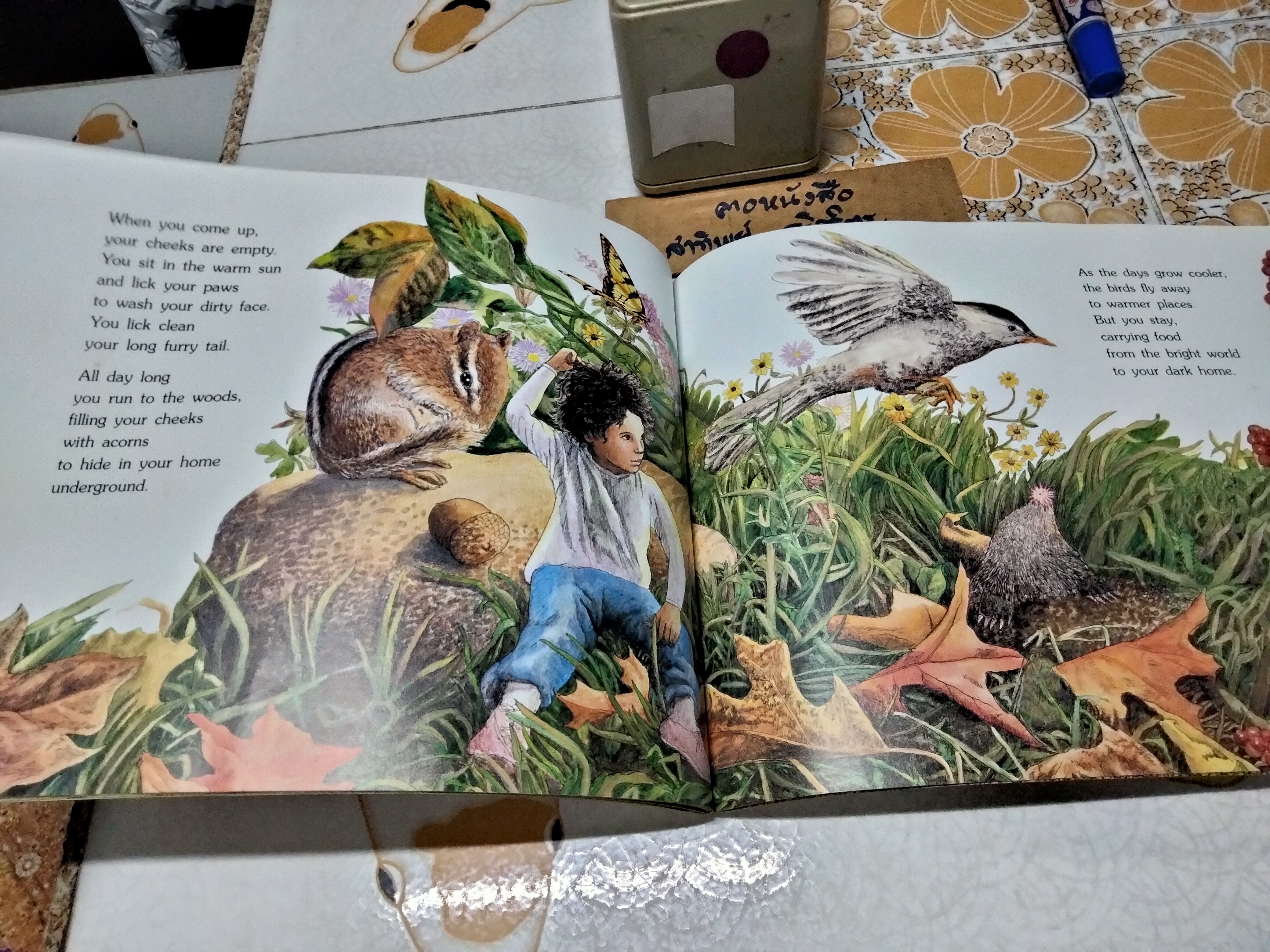 Chipmunk Song by Joanne Ryder Pictures by Lynne Cherry, 1990