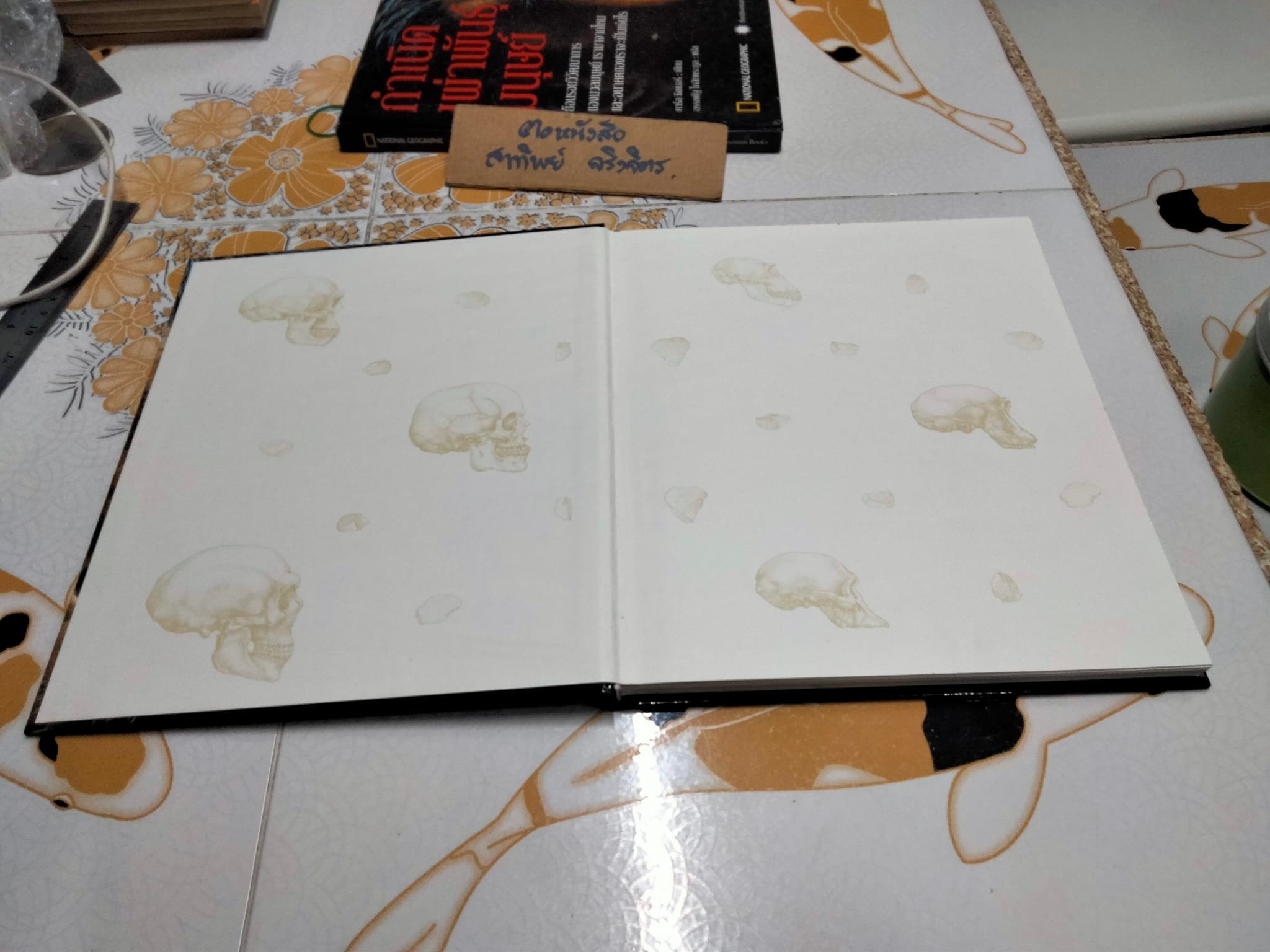 กำเนิดเผ่าพันธุ์มนุษย์ คาร์ล ซิมเมอร์ เขียน - อรรคพัฐโกสิยตระกูล แปล (NATIONAL GEOGRAPHY ปกแข็ง) **สินค้าหมด**