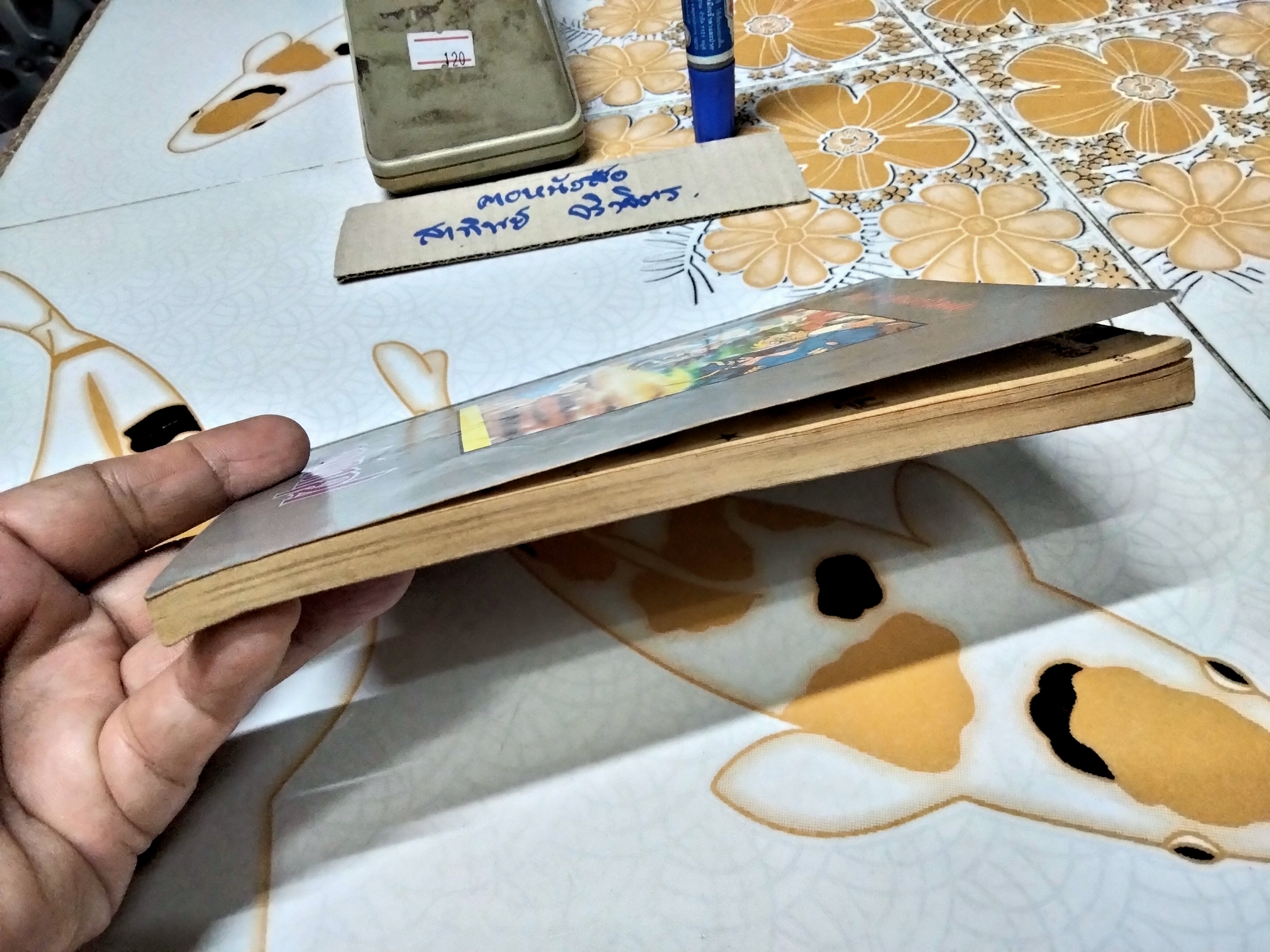 เศษการ์ตูน Saint Seiya เซนตเซยา เทพบุตรดาวหาง , มิตรไมตรี (เล่มบาง) ชุด 2/ 8