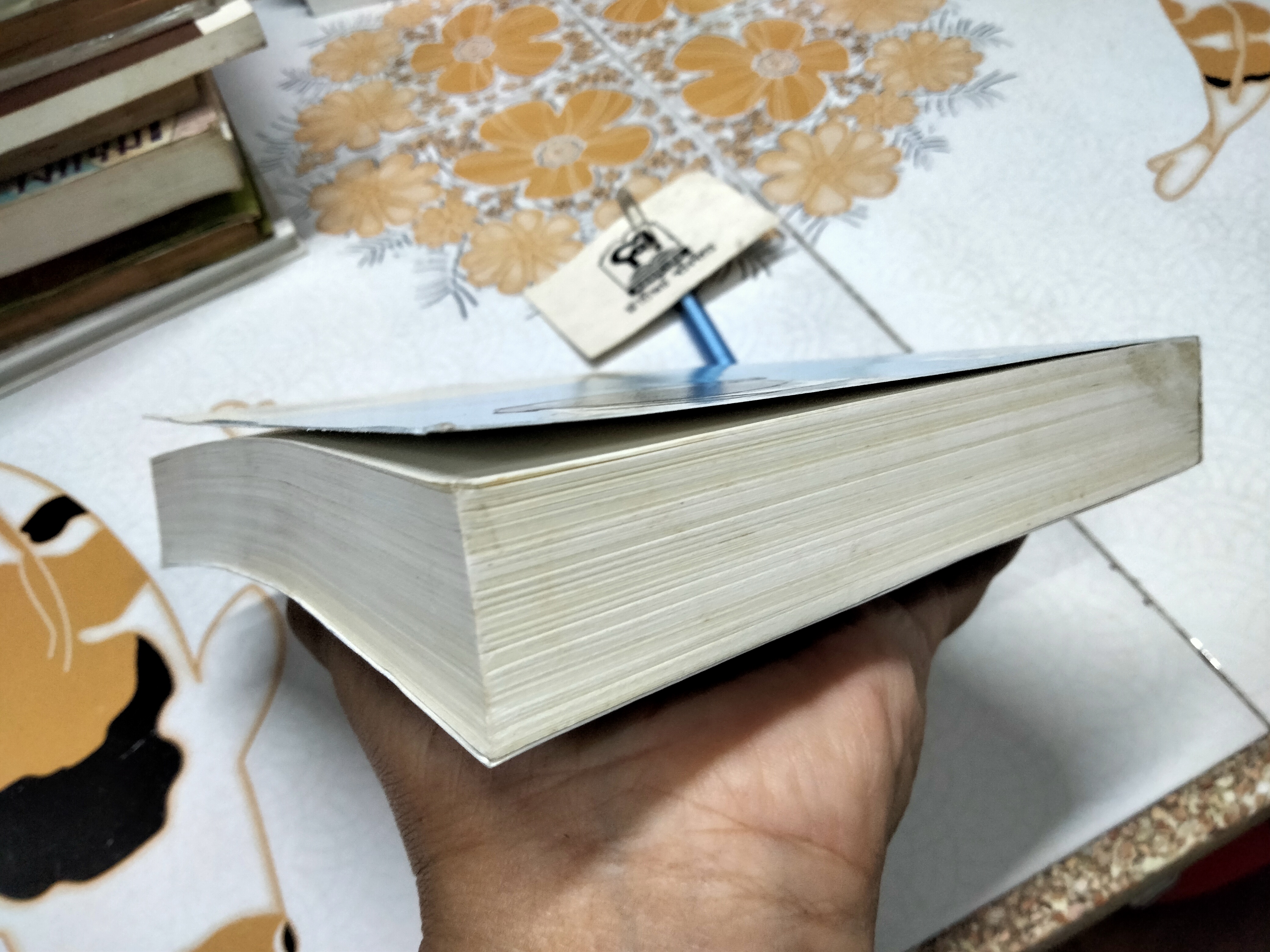 ด้วยรักและกัดกัน (In Her Shoes) Jennifer Weiner เขียน - วรรธนา วงษ์ปิยะฉัตร แปล