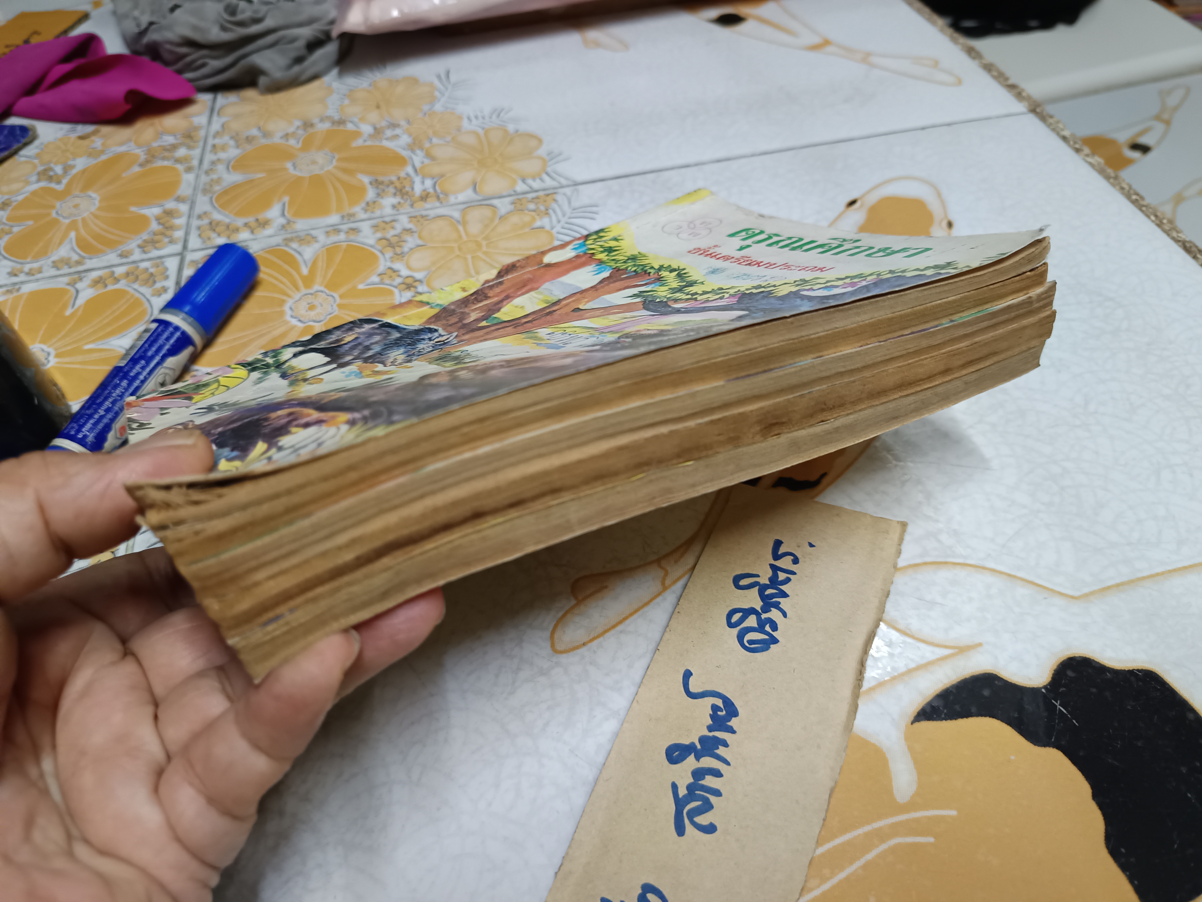 ดรุณศึกษา แบบเรียนภาษาไทย ระดับชั้นประถมศึกษา แต่งโดย ฟ. ฮีแลร์ โรงพิมพ์ไทยวัฒนาพานิช จัดพิมพ์ (ขายรวม 5เล่ม)