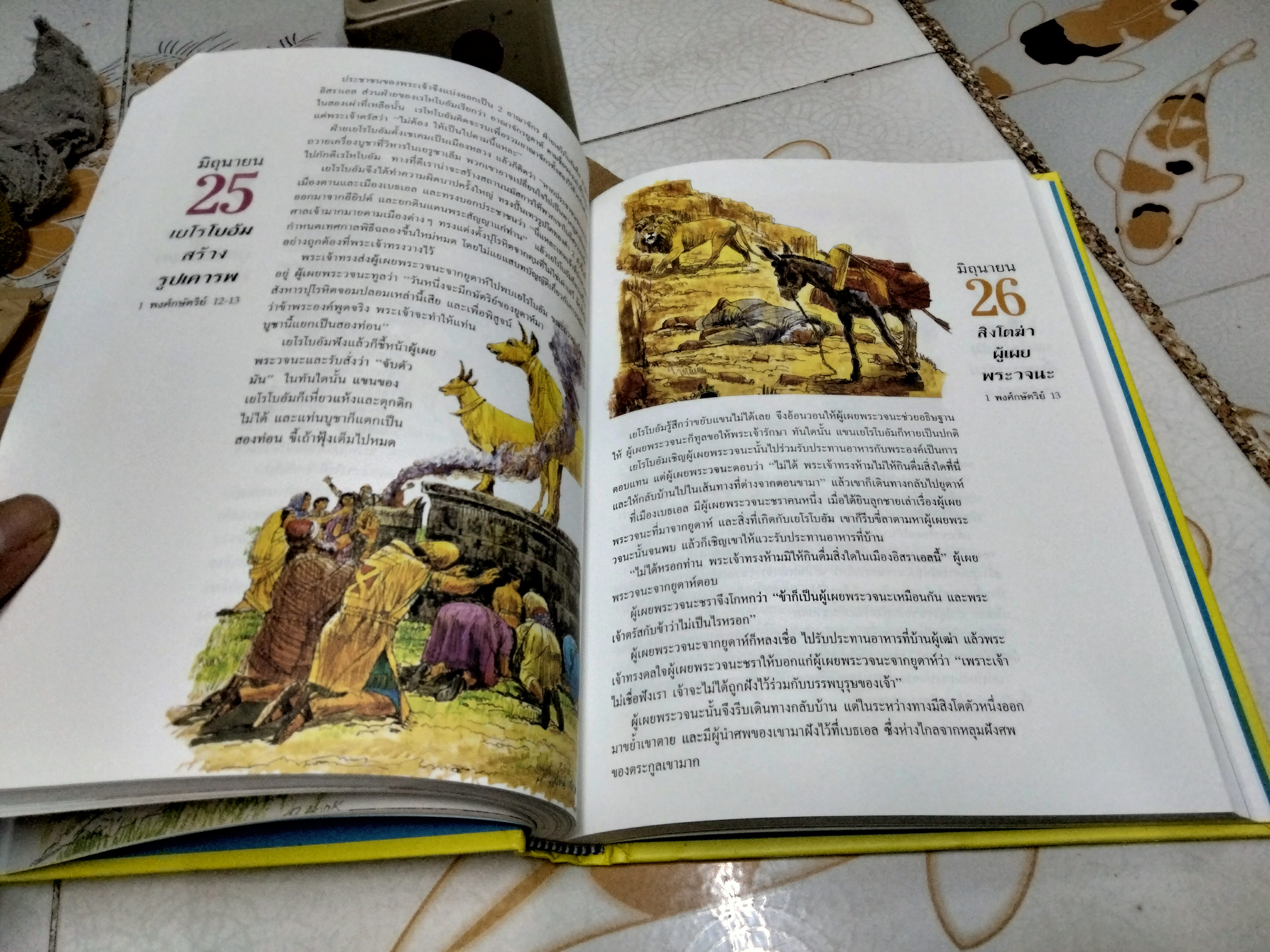 เรื่องเล่า 365 วัน (ปกแข็ง) Virginia J. Muir (เวอร์จิเนีย เจ. มิวเออร์) **สินค้าหมด**