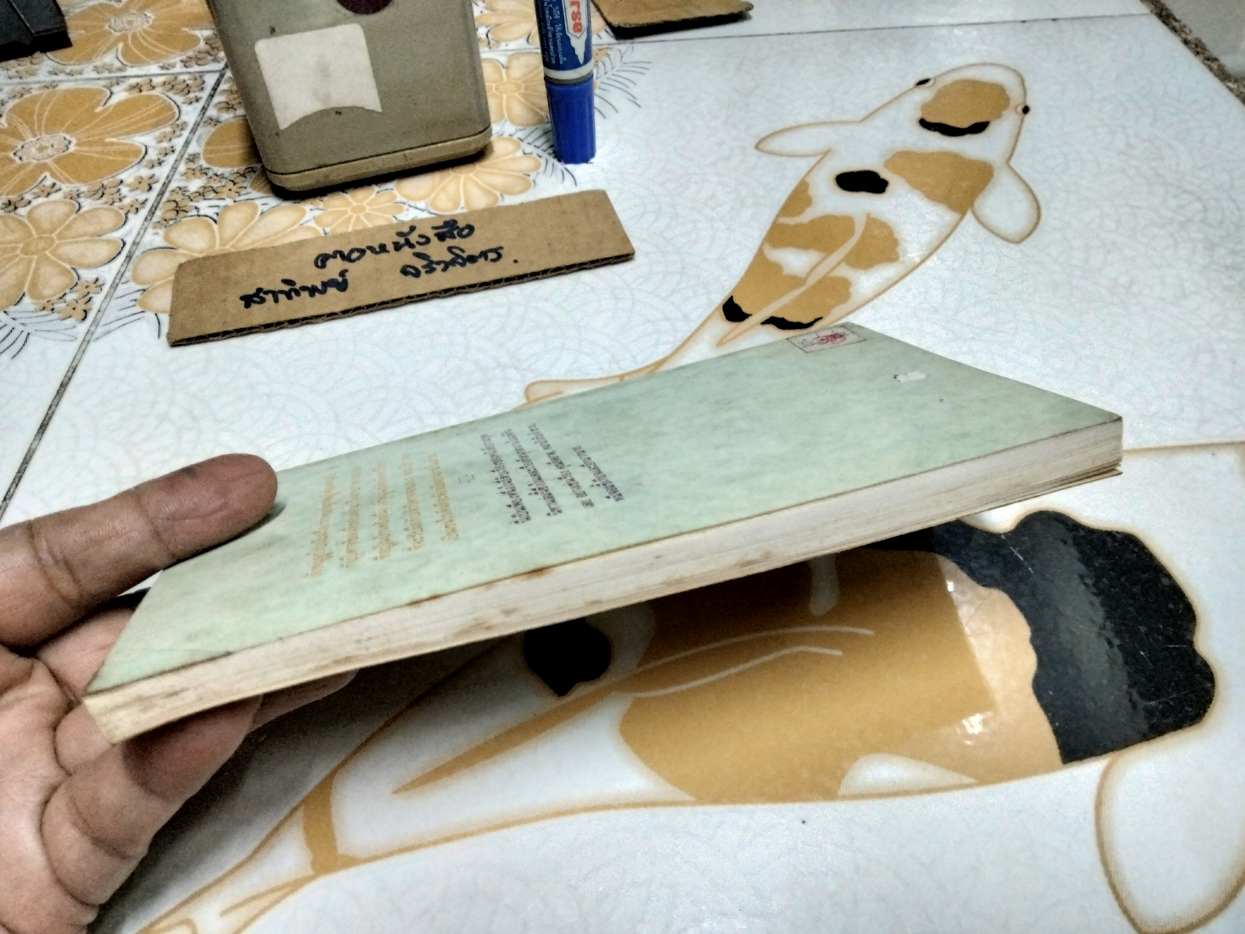 เจ้าหมูลูกโป่ง (The Blue Story Book) ผลงานของ อีนิด ไบลตัน (Enid Blyton) แปลโดย คำรุ้ง **สินค้าหมด**