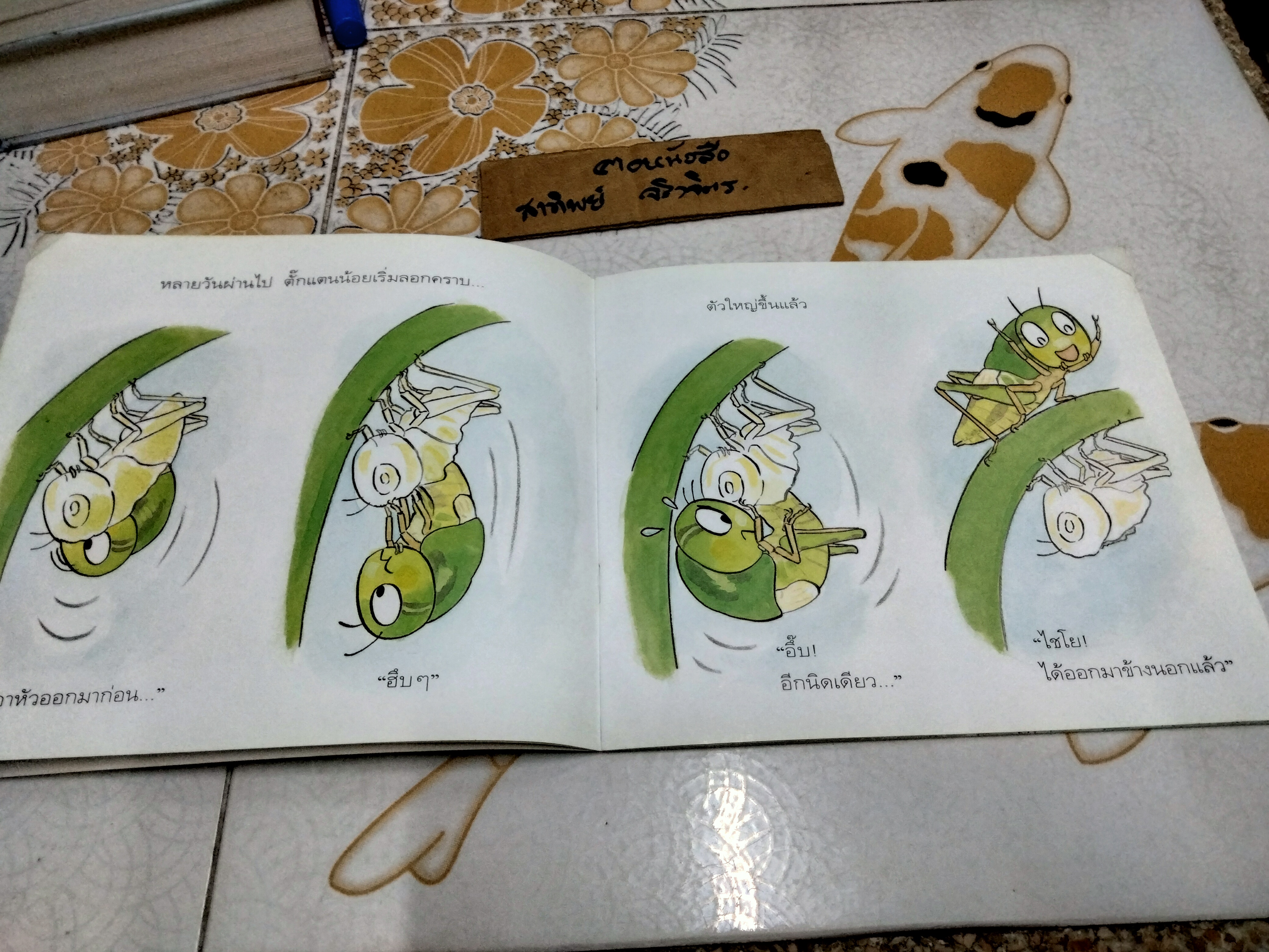 ตั๊กแตนหนวดสั้น หนังสือชุด ลูกรักเรียนรู้วิทยาศาสตร์