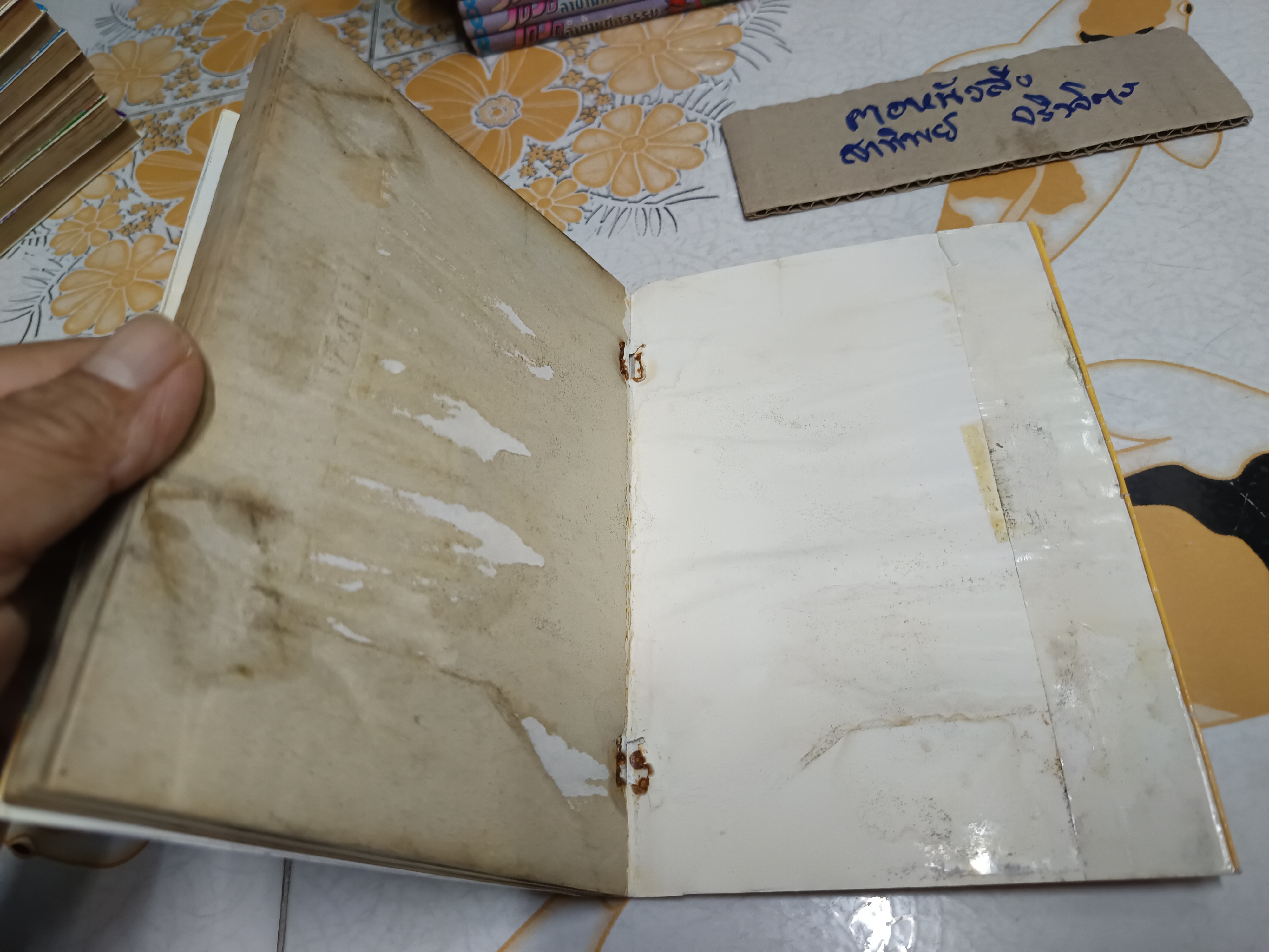 JOJO ล่าข้ามศตวรรษ ภาค 1-5 (มีแค่ 61 เล่ม จาก 63 เล่ม) ขาดเล่มที่ 27 , 52 (สภาพเช่า)