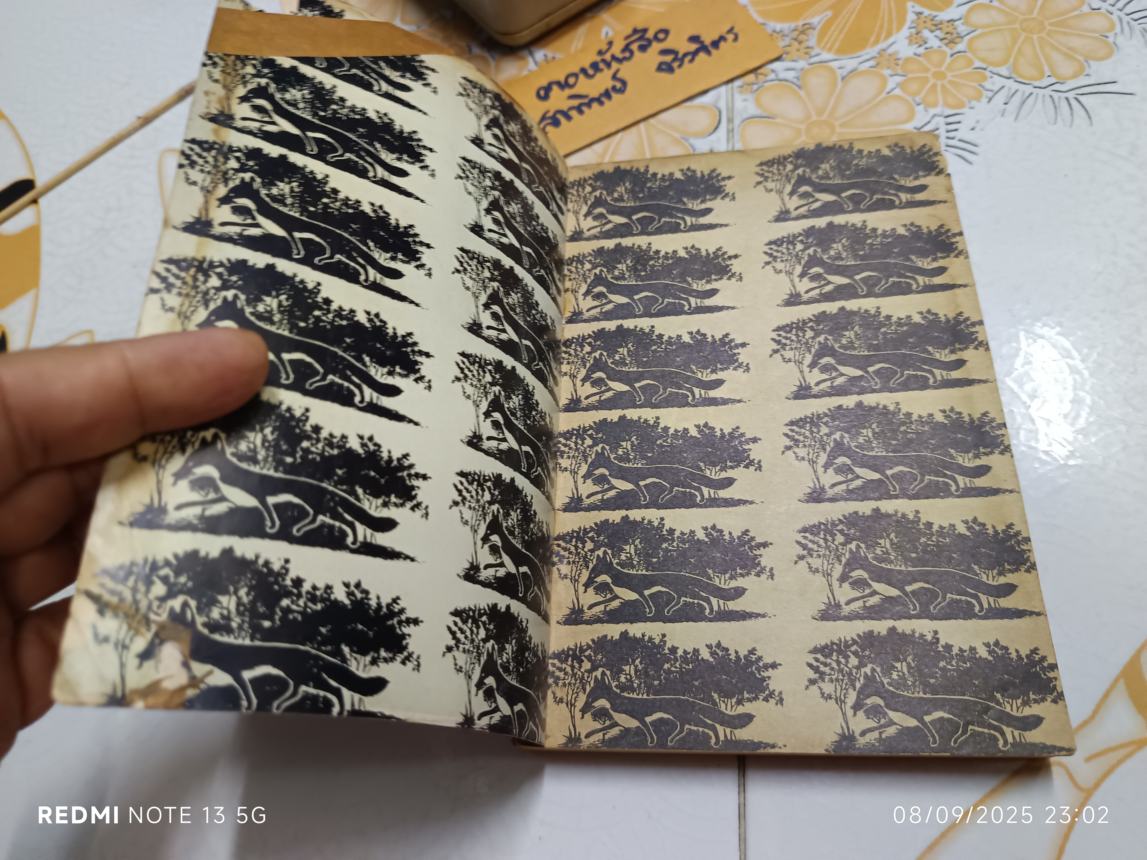 สุนัขล่องหน (Haunt Fox) ผลงานของ จิม เคลการ์ด (Jim Kjelgaard) แปลโดย ลมุล รัตตากร พิมพ์ครั้งแรก พ.ศ 2514 ไทยวัฒนาพานิช (ปกหน้าแหว่ง) **สินค้าหมด**