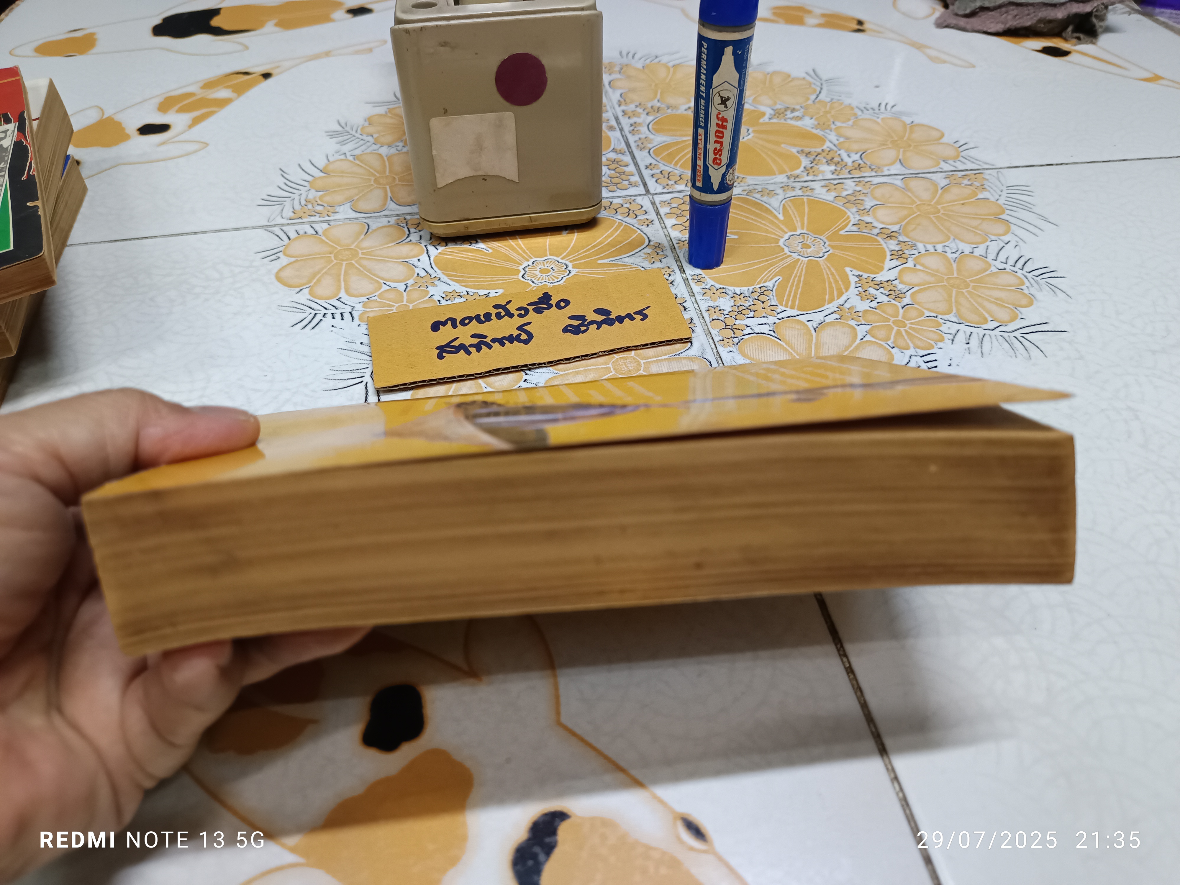 สิ้นแผ่นดิน Not with guns alone เดนิส วอร์เน่อร์ (Denis Warner) /ไพโรจน์ พันธุมจินดา แปล สนพ.ปณธาน. พิมพ์ครั้งที่ 1 พ.ศ.2521