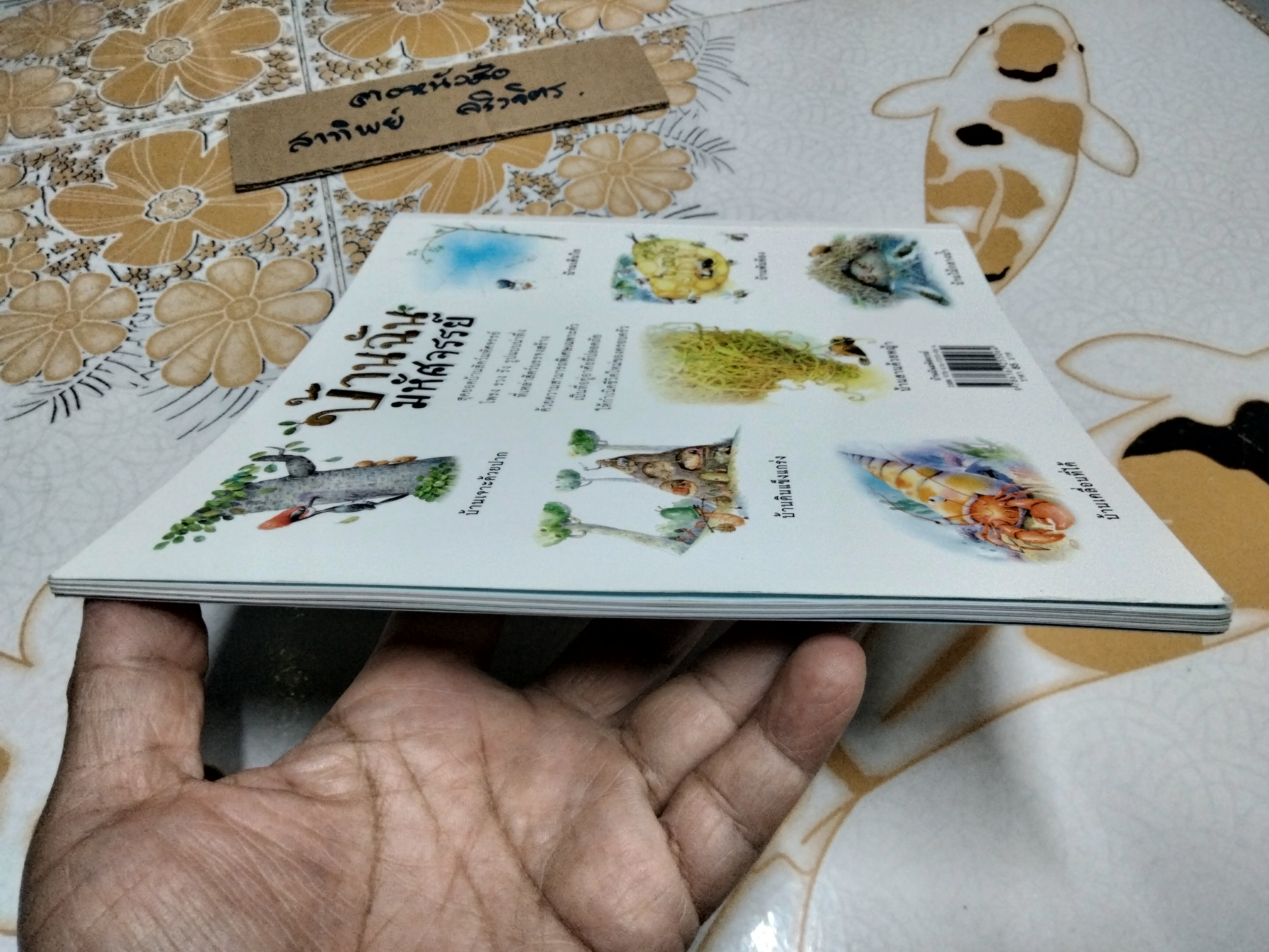 บ้านฉันมหัศจรรย์ (ชุดวิทยาศาสตร์รุ่นเยาว์-แปลกแต่จริง)