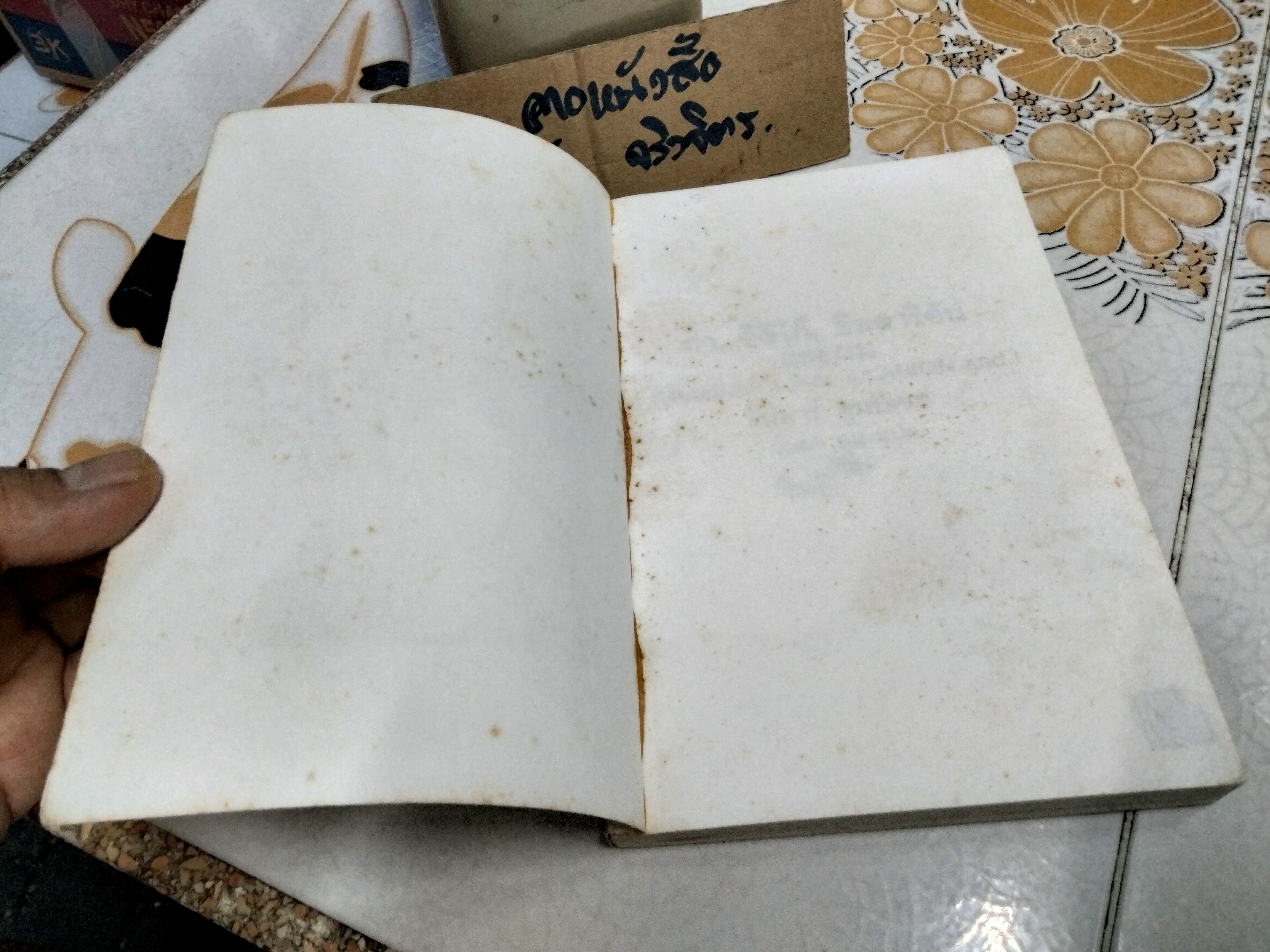 ย่า, อิลิโก้, อิลลาริอัน และผม (Granny, Iliko, Illarion and I) โนดาร์ ดุมบัดเซ่ เขียน วันยา อูน แปล **สินค้าหมด**