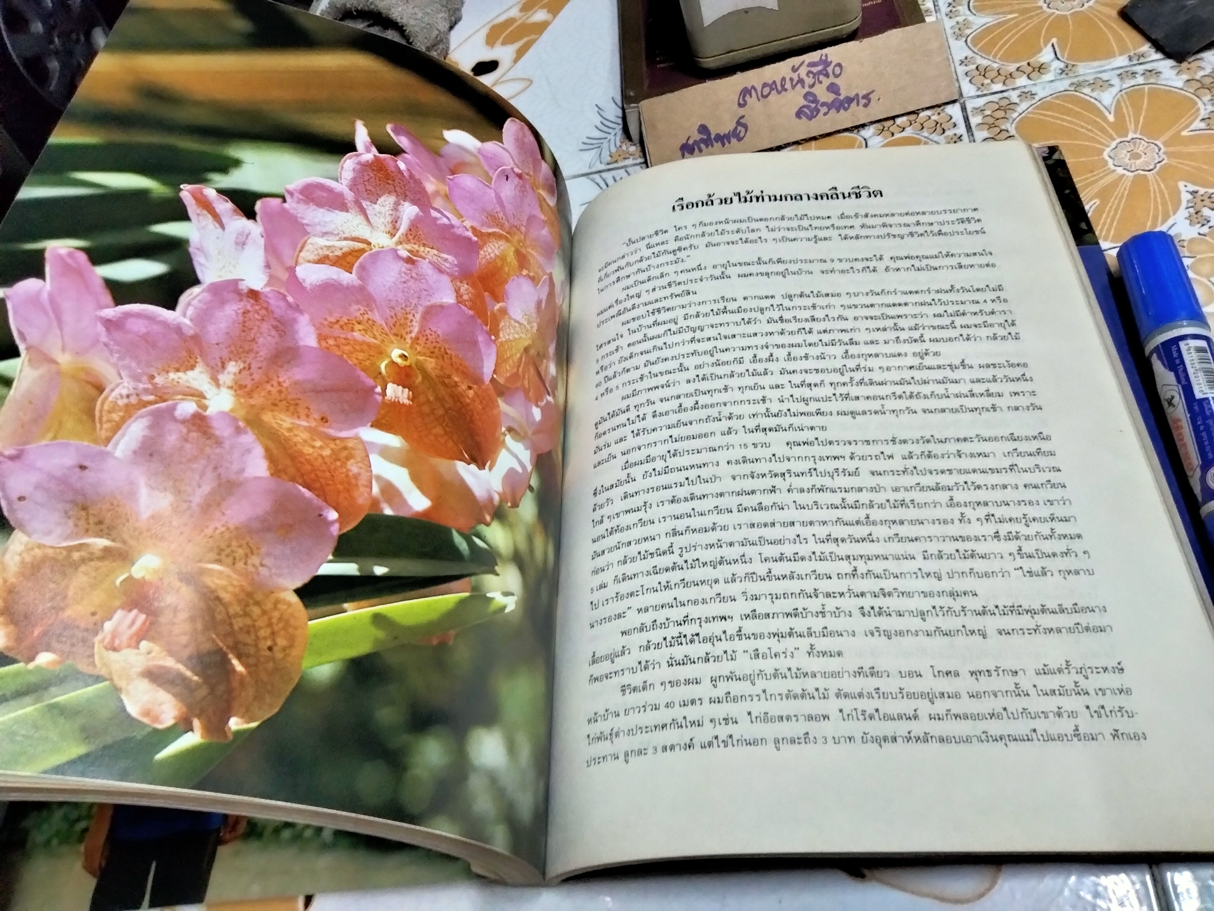 เพียงข้าวเมล็ดเดียว โดย ศาสตราจารย์ ระพี สาคริก พิมพ์ พ.ศ.2525 **สินค้าหมด**