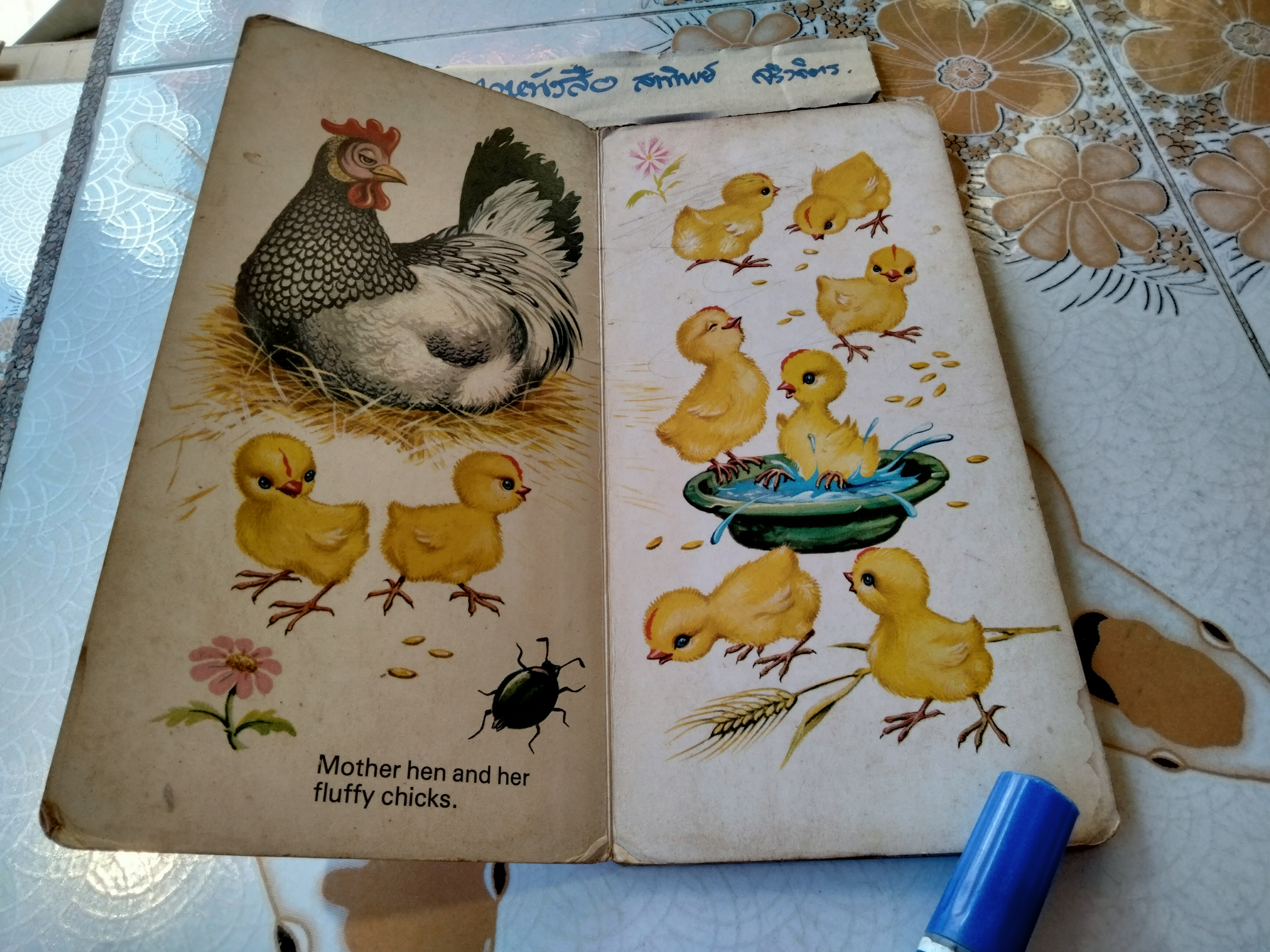 Animal Playtime , Boardbook , Vintage Murrays Childrens Books, printed in Holland.