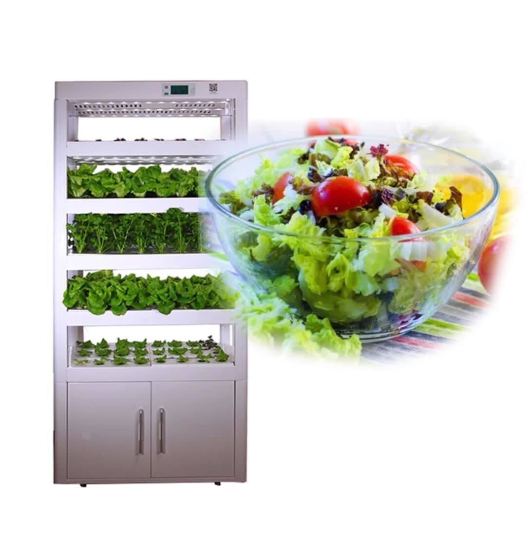 ตู้ปลูกผัก machine vegetable plant factory