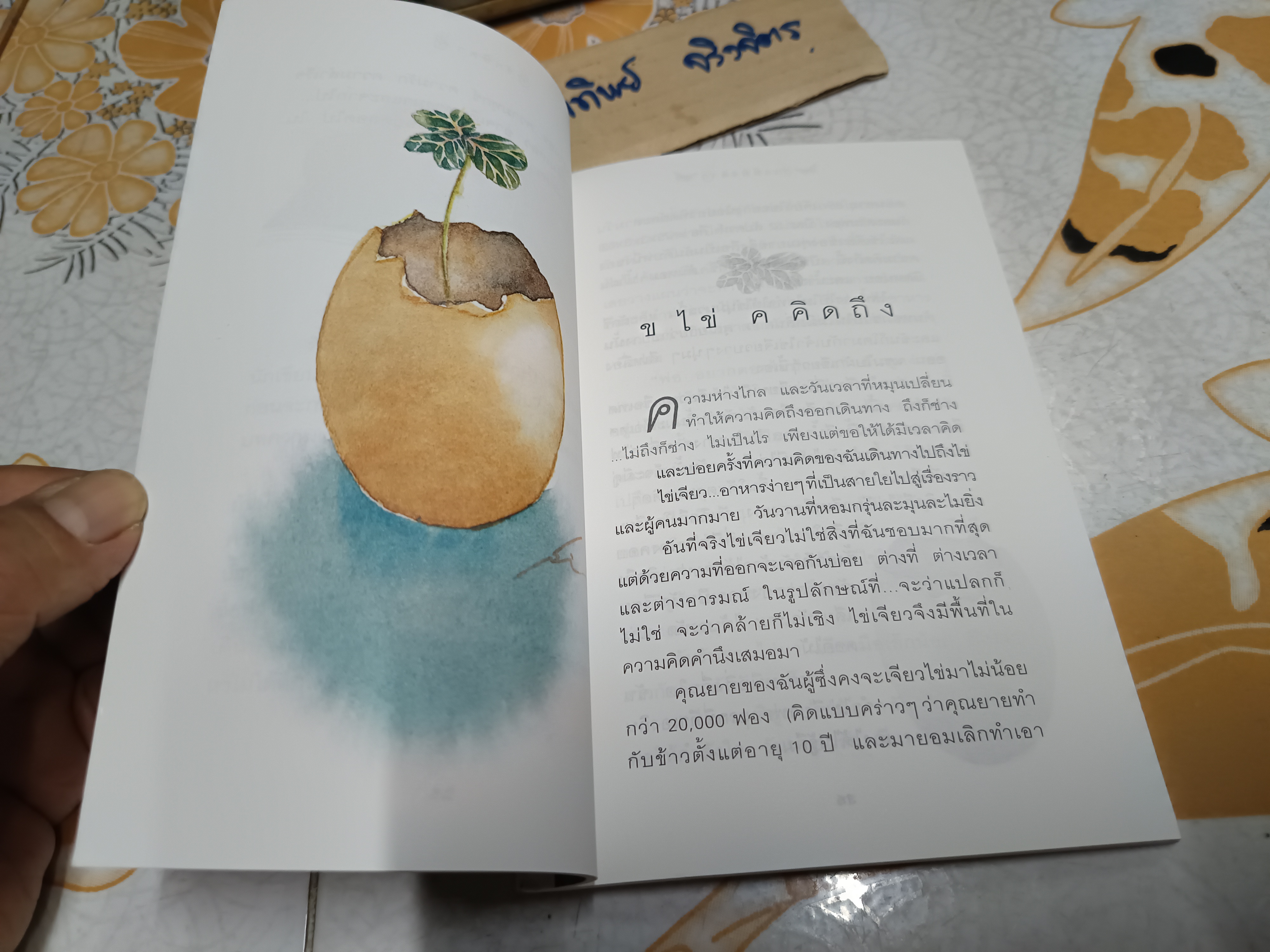 ระเบียงดาว โดย รักษิตา (ปกิณกคดี) **สินค้าหมด**