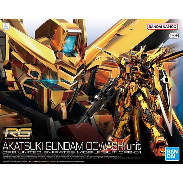 41 AKATSUKI GUNDAM OO WASHI