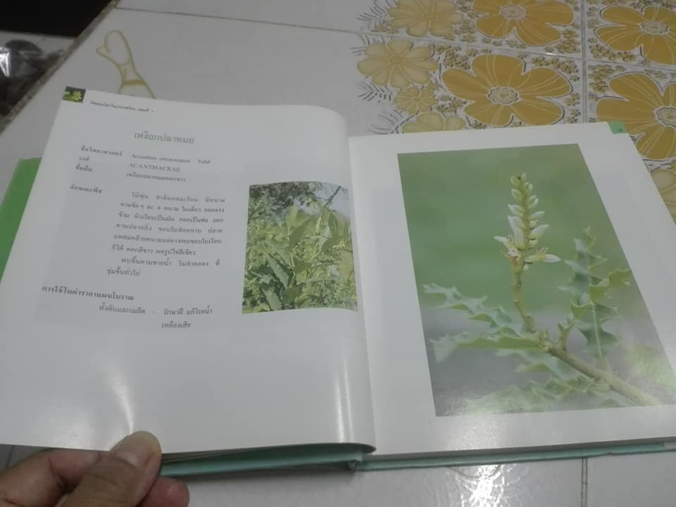 พืชสมุนไพรในประเทศไทย ตอนที่ 1 (ปกแข็ง-มีใบหุ้มปก) **สินค้าหมด**