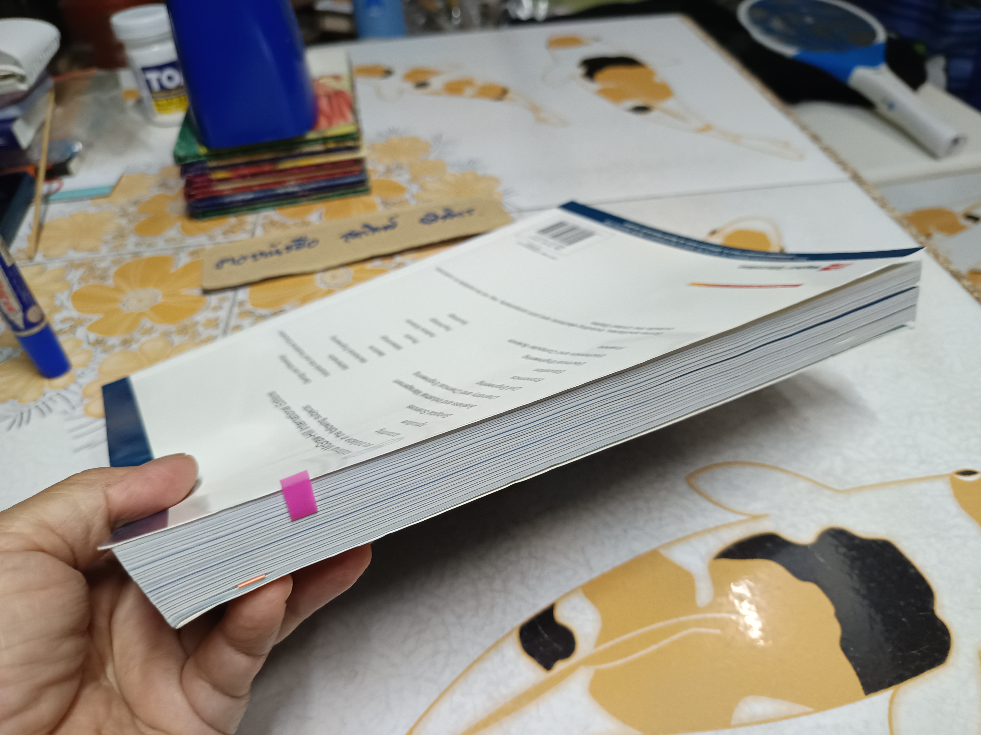 International Financial Management, 5th Edition By Cheol Eun, Bruce Resnick . McGraw Hill International edition