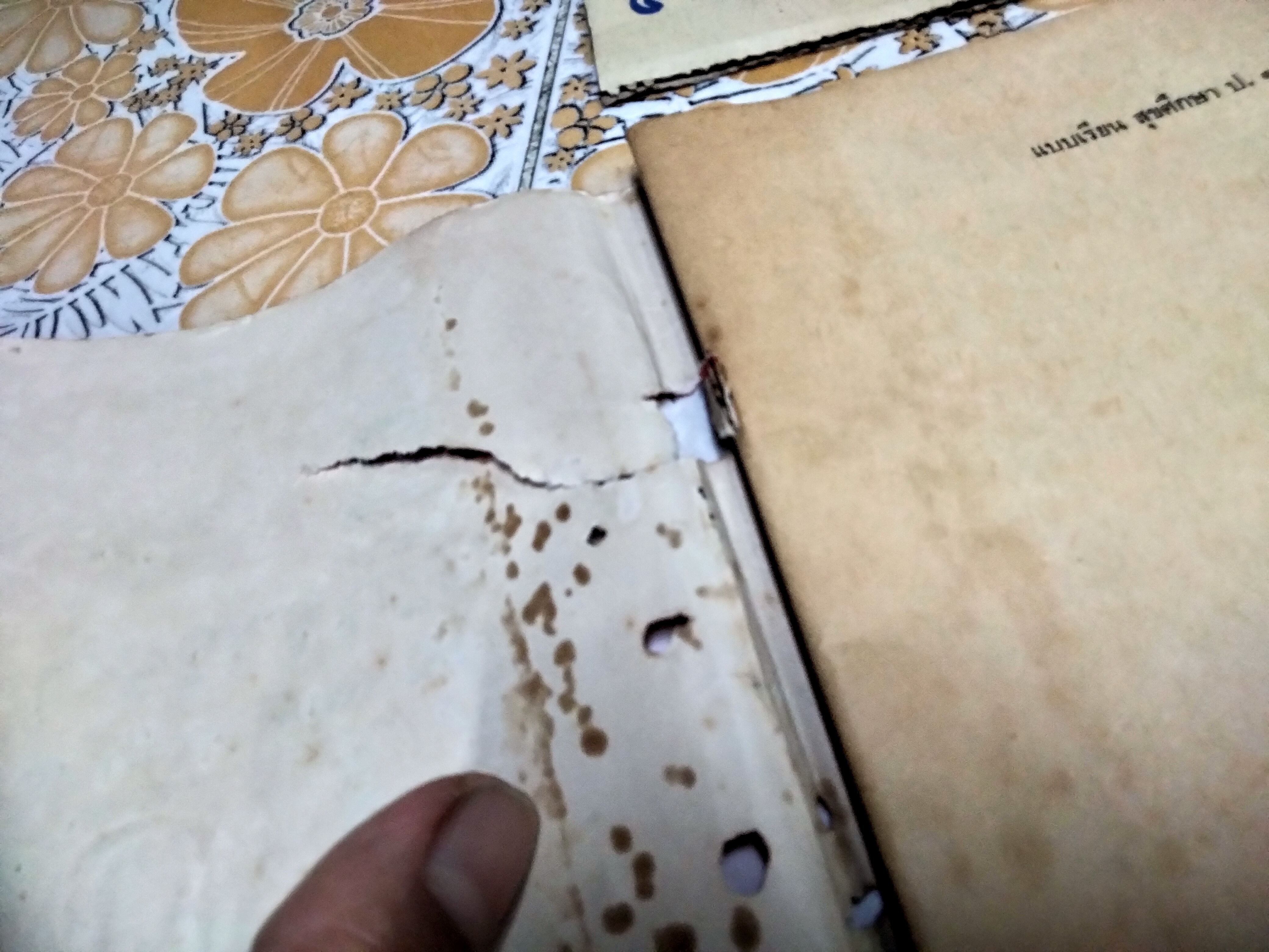 แบบเรียนเก่า - สุขศึกษา สำหรับชั้นประถมศึกษาปีที่ 1 นายแพทย์เสนอ อินทรสุขศรี / ตามหลักสูตรใหม่ กระทรวงศึกษาธิการ - พิมพ์ครั้งที่ 1 พ.ศ 2510 **สินค้าหมด**