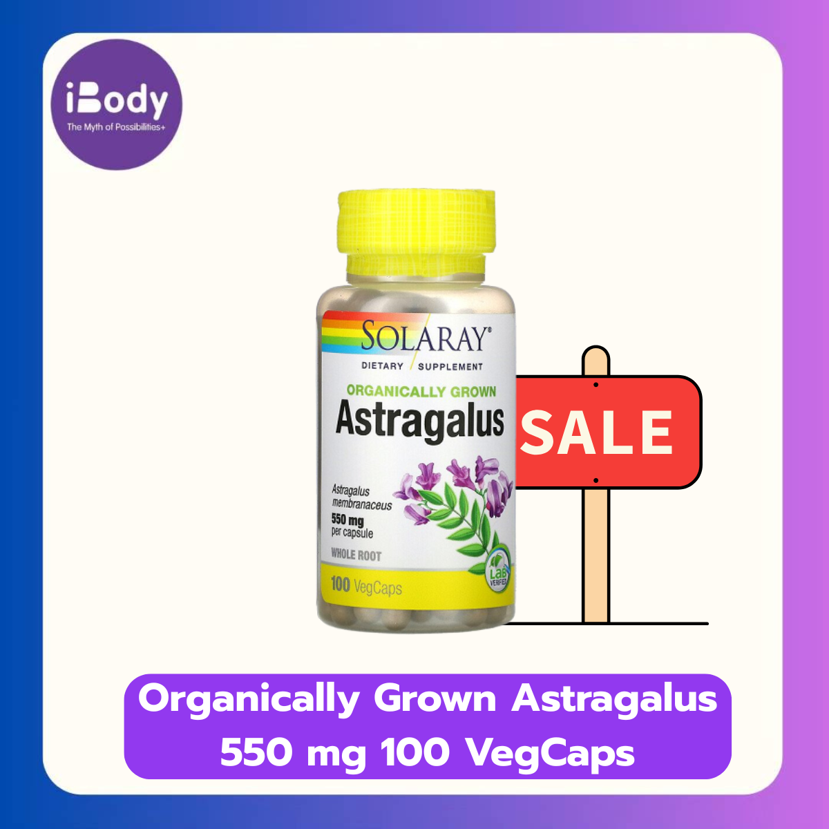 (Solaray®) Organically Grown Astragalus 550 mg 100 VegCaps อึ้งคี้