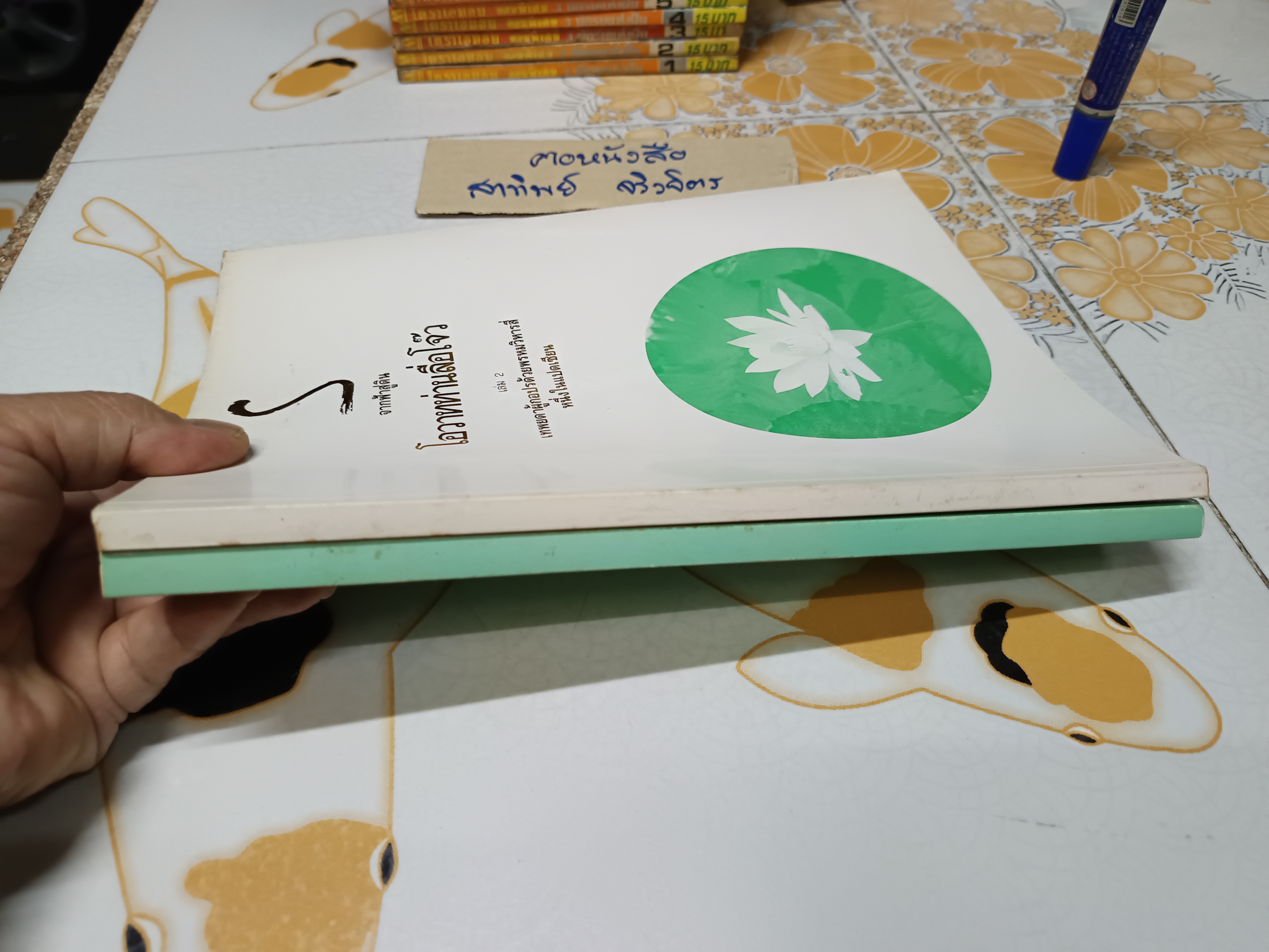 จากฟ้าสู่ดิน โอวาทท่านลื่อโจ๊ว (เล่ม 1-2) **สินค้าหมด**