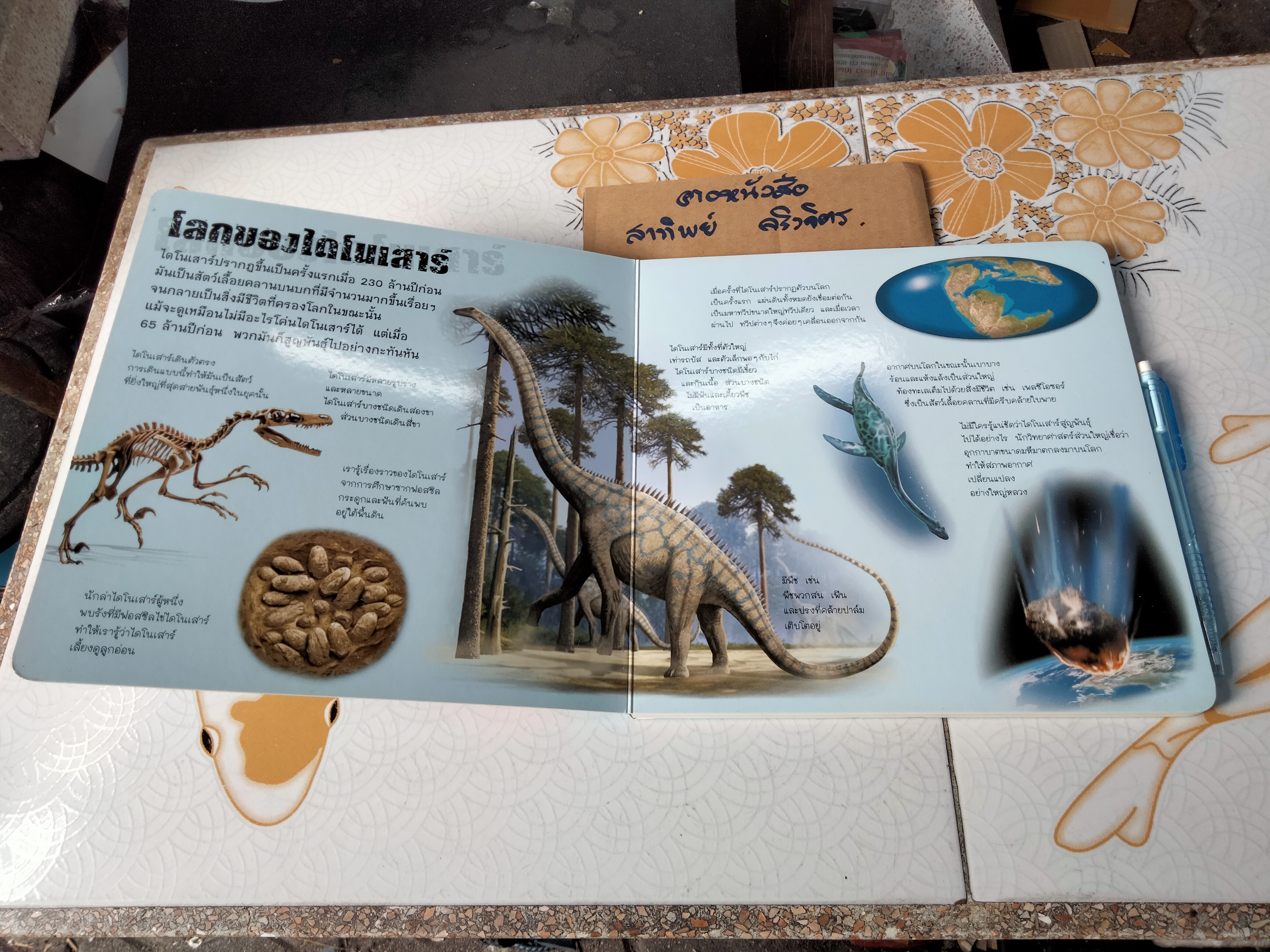 ประกอบร่างไดโนเสาร์ (บอร์ดบุ๊ค กระดาษแข็ง) **ไม่มีโมเดลไดโนเสาร์แล้ว