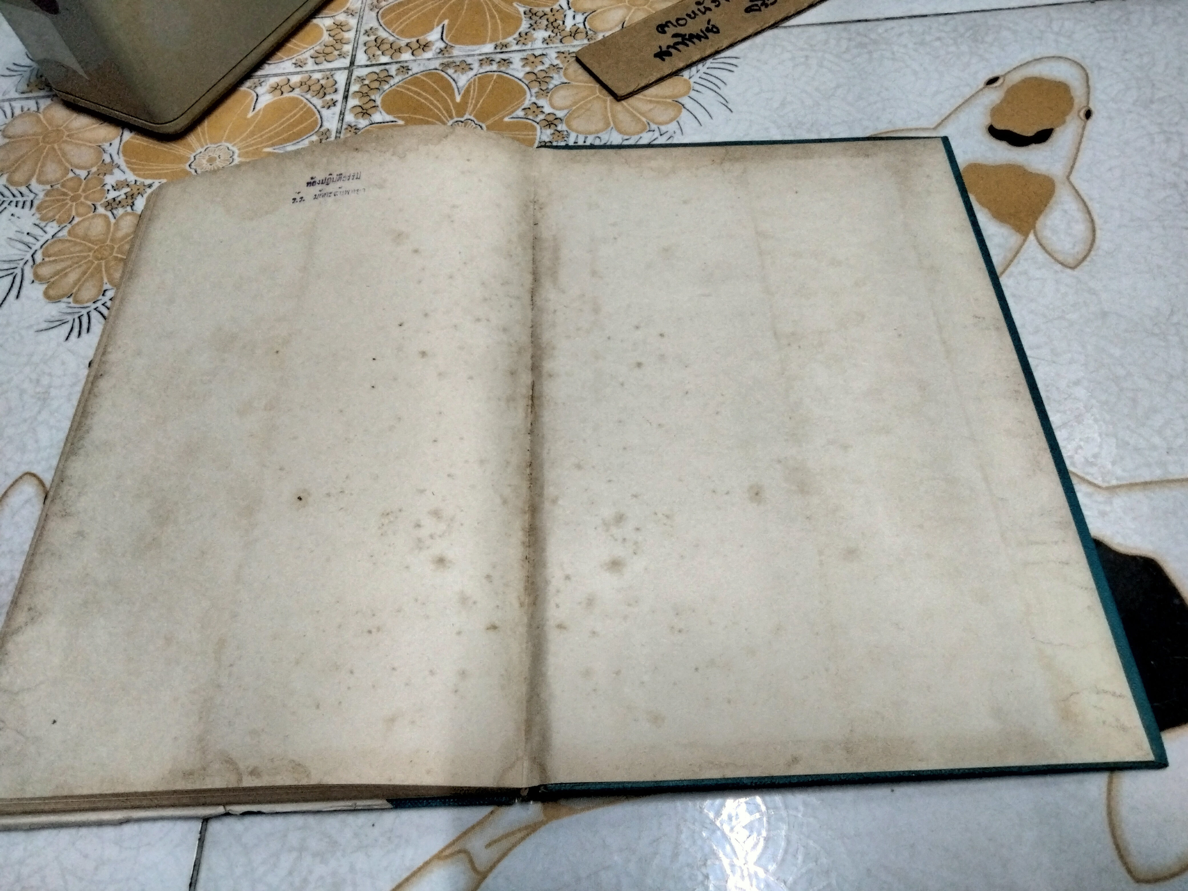 สถูปเจดีย์ในประเทศไทย น.ณ ปากน้ำ (ไม่มีใบหุ้มปก)