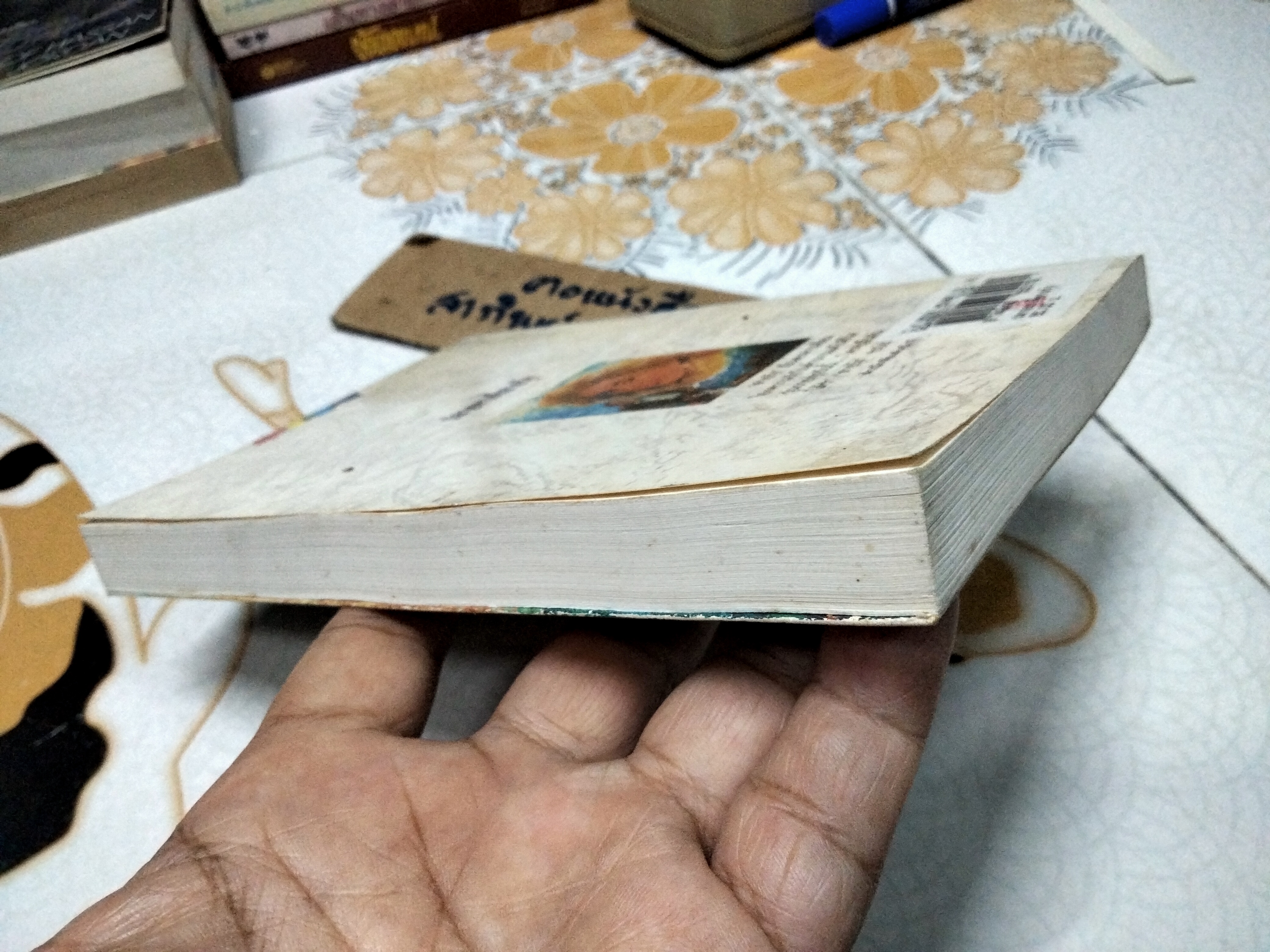 ปลายทางที่สายรุ้ง (A Little Love) - นิดา แปล