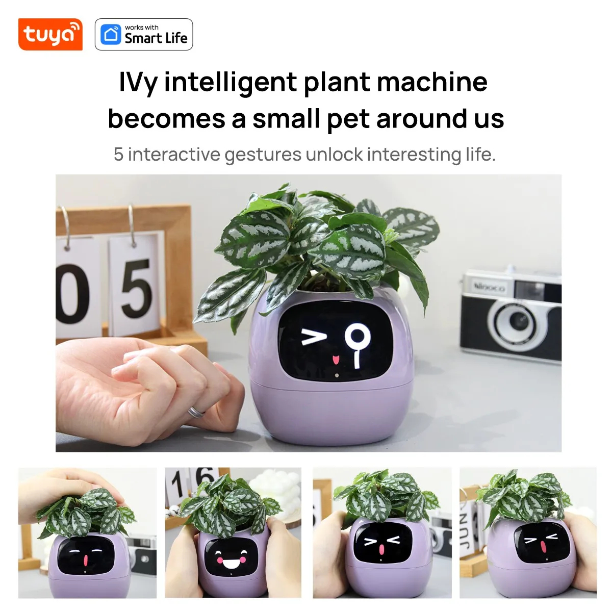 หุ่นยนต์พืชไอวี่ Smart planter Endless Ivy