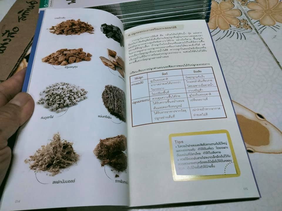 มือใหม่หัดปลูกฟาแลนนอปซิส (Easy Phalaenopsis) โดย ภวพล ศุภนันทนานนท์ , มือหนึ่ง ในซีล