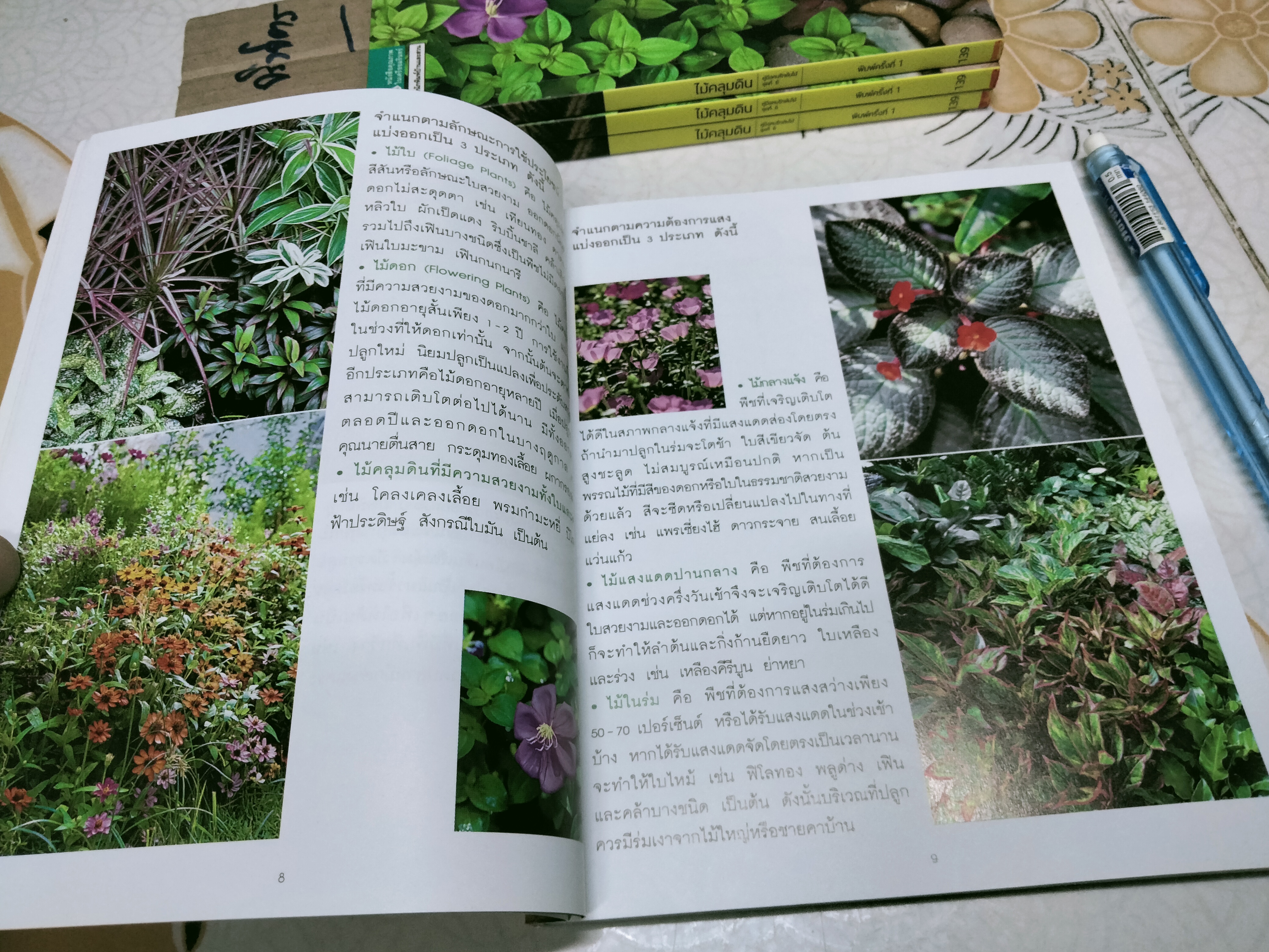 ไม้คลุมดิน - คู่มือคนรักต้นไม้ ชุดที่ 6 โดย ธิวลักษณ์ บุนนาค พิมพ์ครั้งที่ 1 สำนักพิมพ์บ้านและสวน **สินค้าหมด**