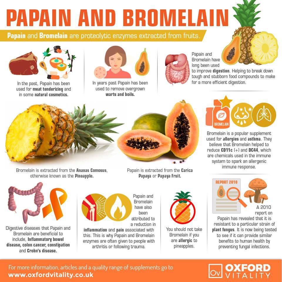 เควอซิทิน และโบรเมแลน Quercetin & Bromelain 240 Capsules (Piping Rock®)